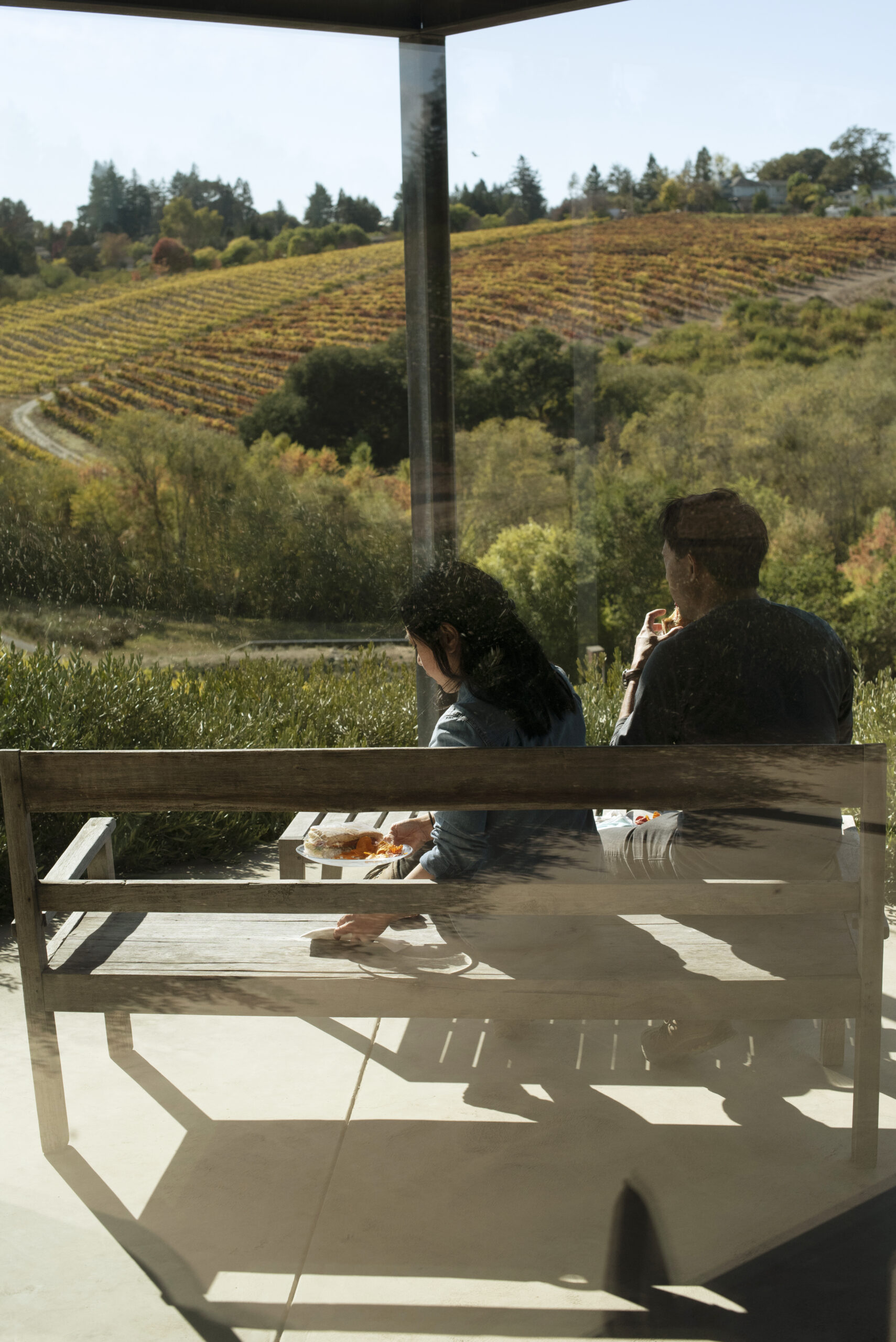 A couple from Oakland, California drove up to help owner Stephen Singer during olive harvest at Baker Lane Vineyards in Sebastopol, California, November 8, 2018. (Photo: Erik Castro/for Sonoma Magazine)