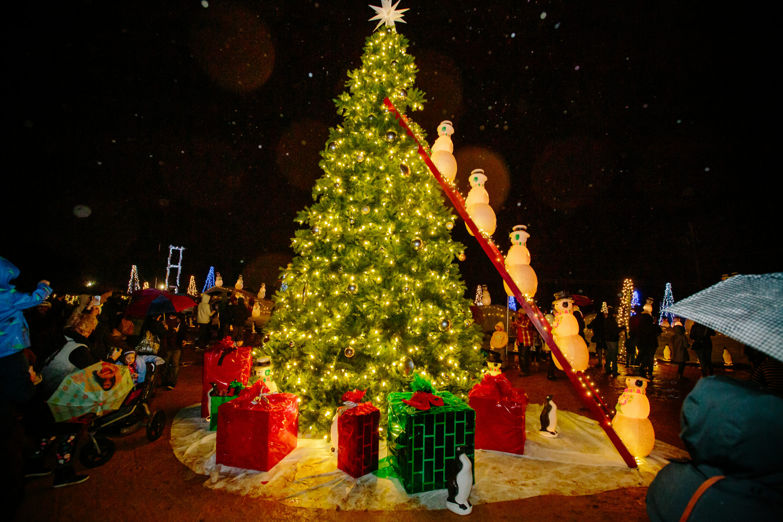 25 Magical Holiday Experiences in Sonoma County