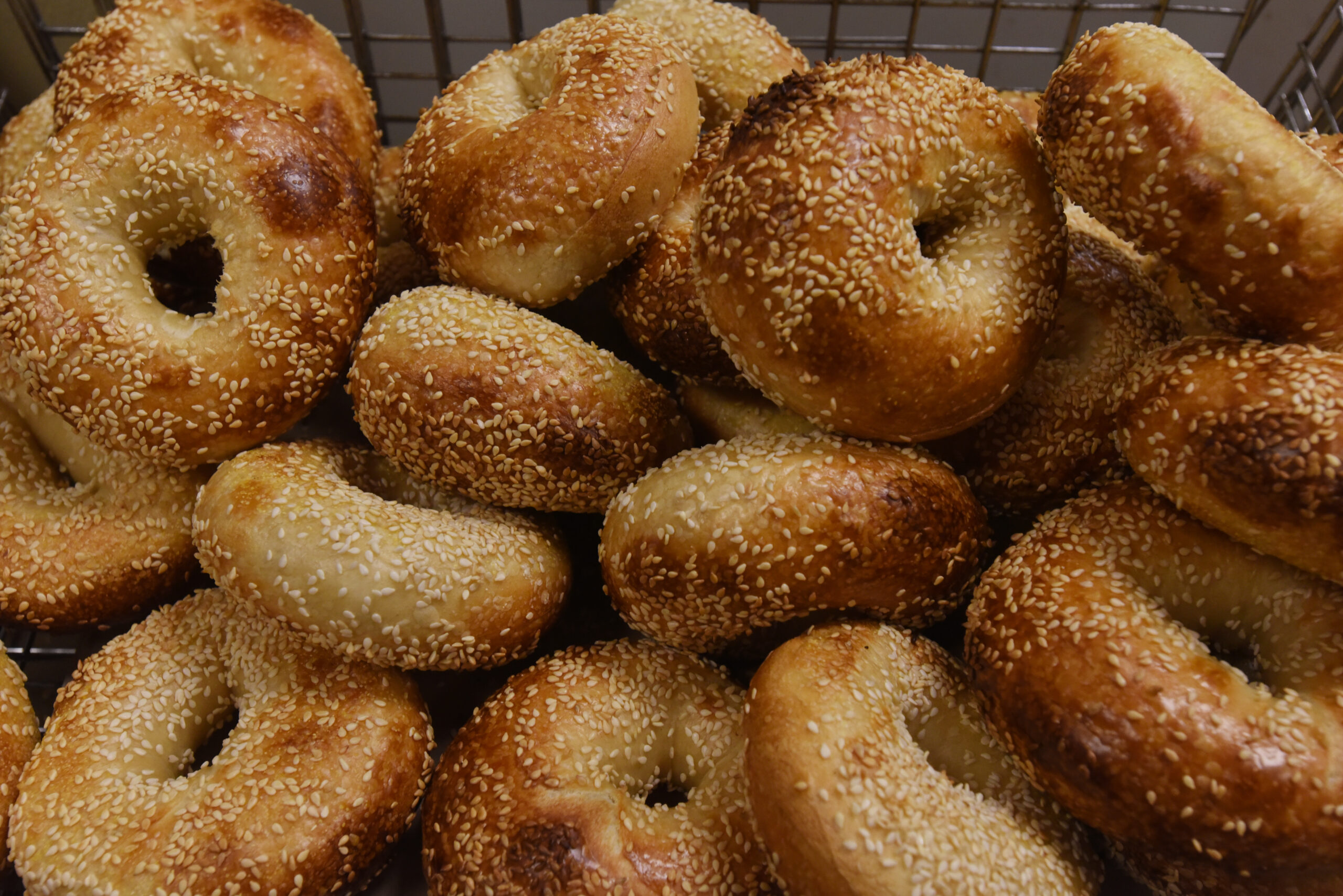 Freshly baked sesame seed bagels at Homegrown Bagels in Sonoma. (Erik Castro/for The Press Democrat)
