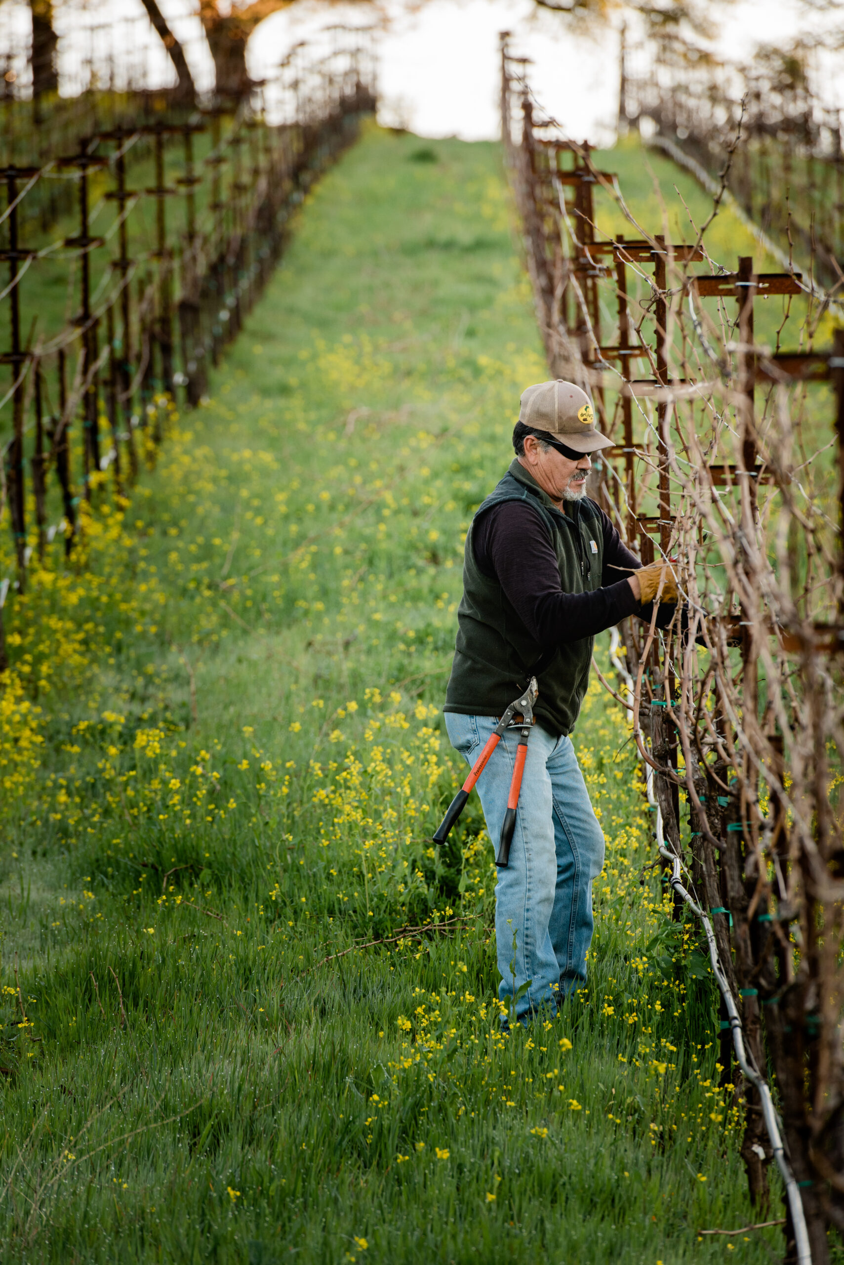 Rene Munoz has been with Kunde since 1990 and is and brings much expertise to vienyard leadership and management. He's considered the "grape wisperer" for his ability to read a vineyard.