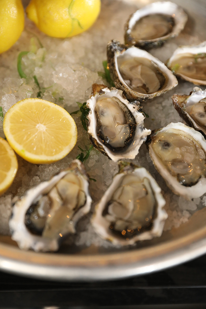 Oysters at The Shuckery in Petaluma. (Beth Schlanker/The Press Democrat)