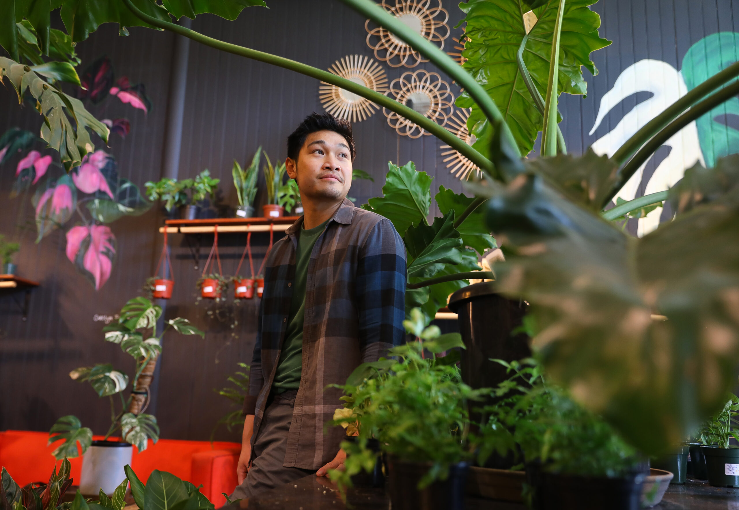 Lewis Deng is the owner of Botany Zhi in downtown Santa Rosa. (Christopher Chung/ The Press Democrat)
