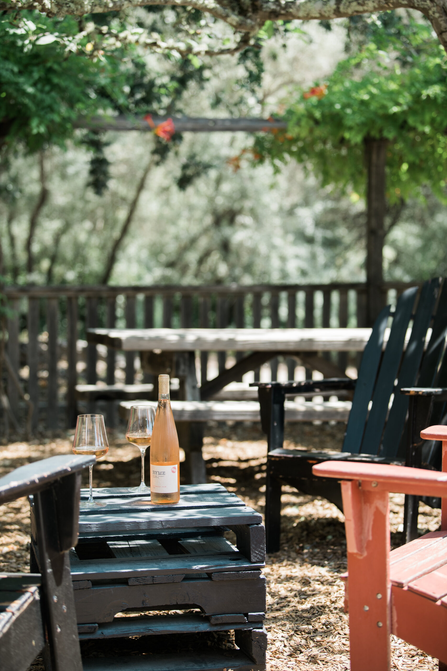 Taste wine outdoors in Adirondack chairs at Ryme Cellars in Forestville. (Courtesy of Ryme Cellars)