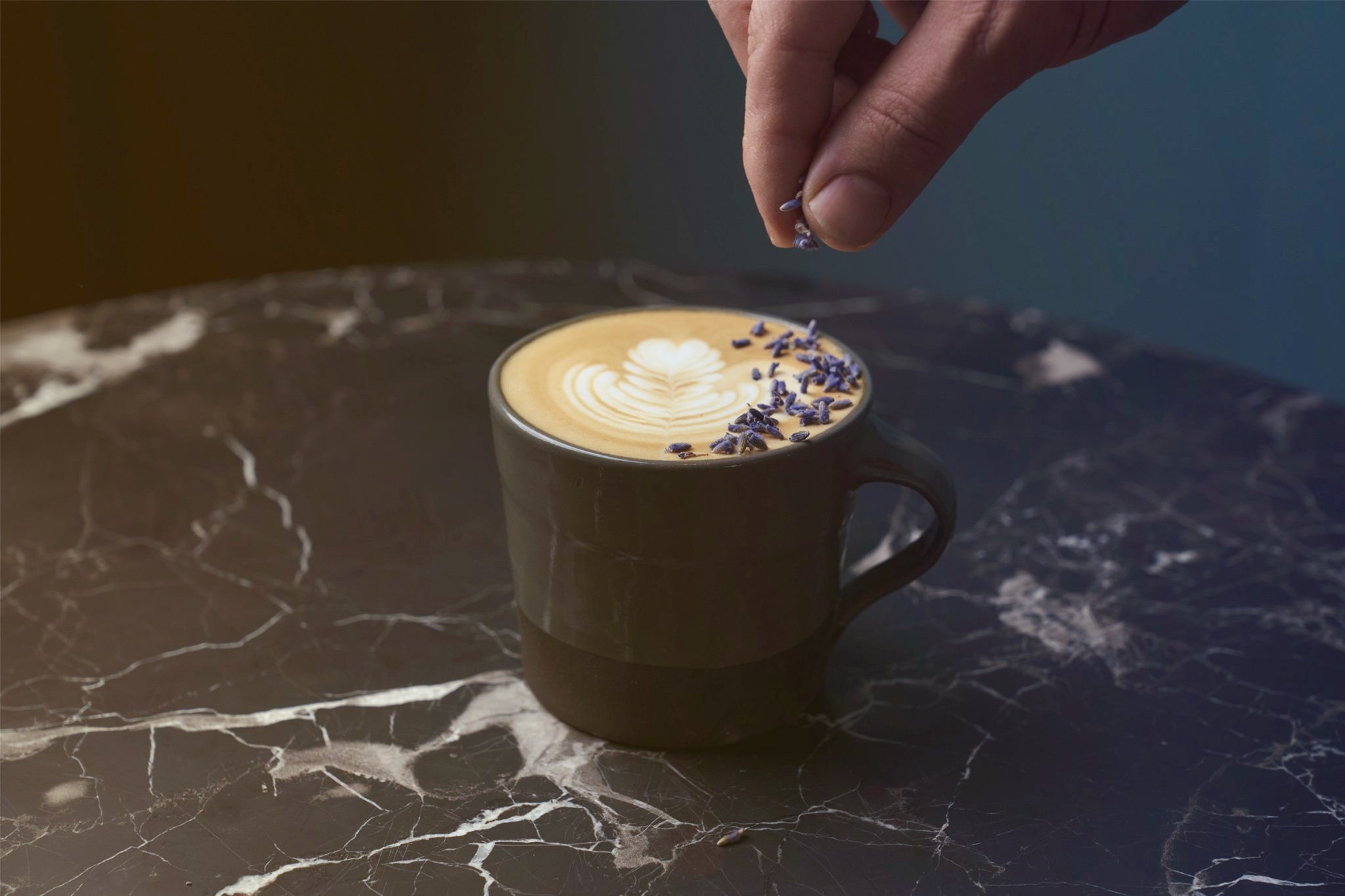 Black Oak Coffee Roasters