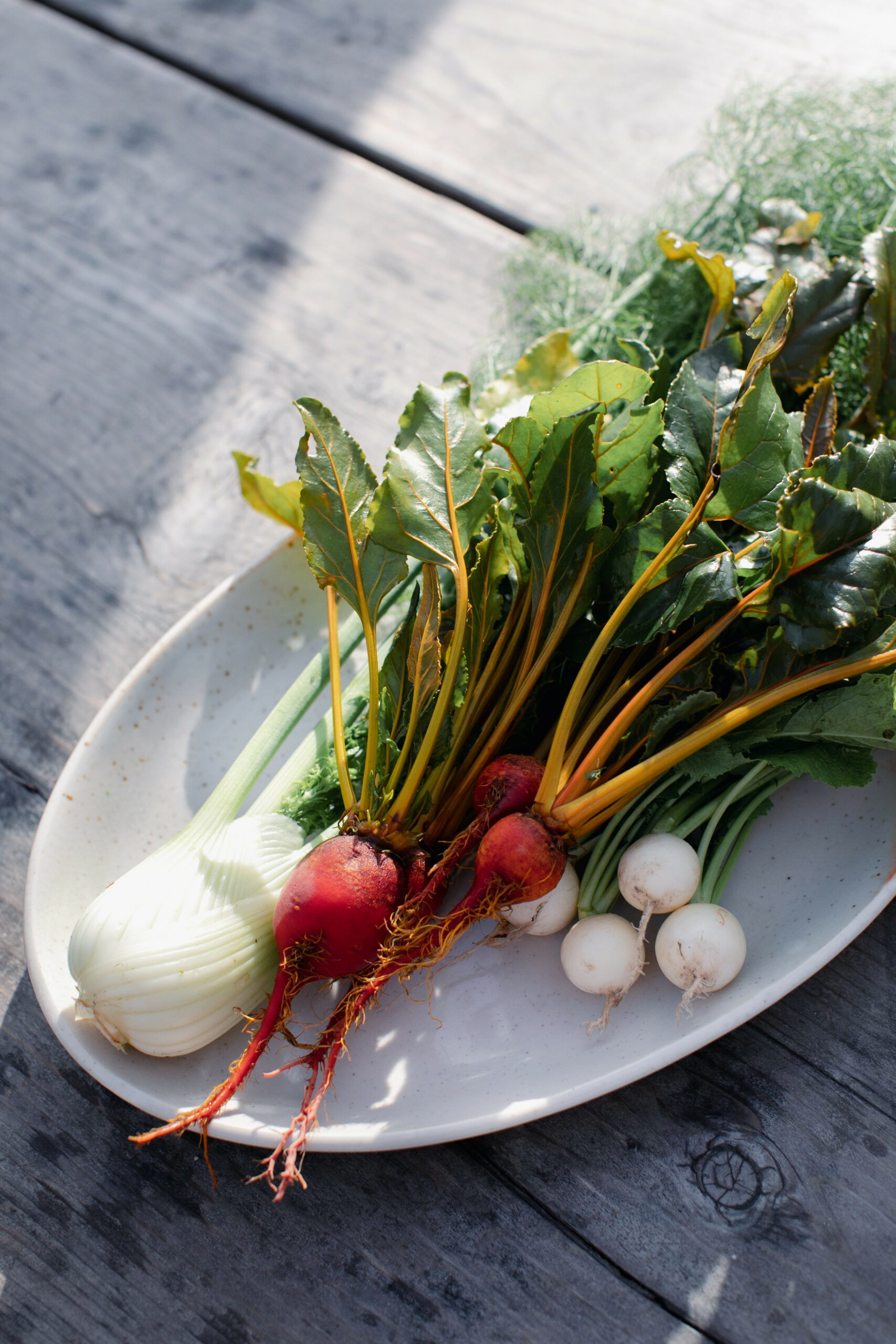 An abundance of late winter and early spring veggies: beets, fennel, and turnips. (Eileen Roche/for Sonoma Magazine)