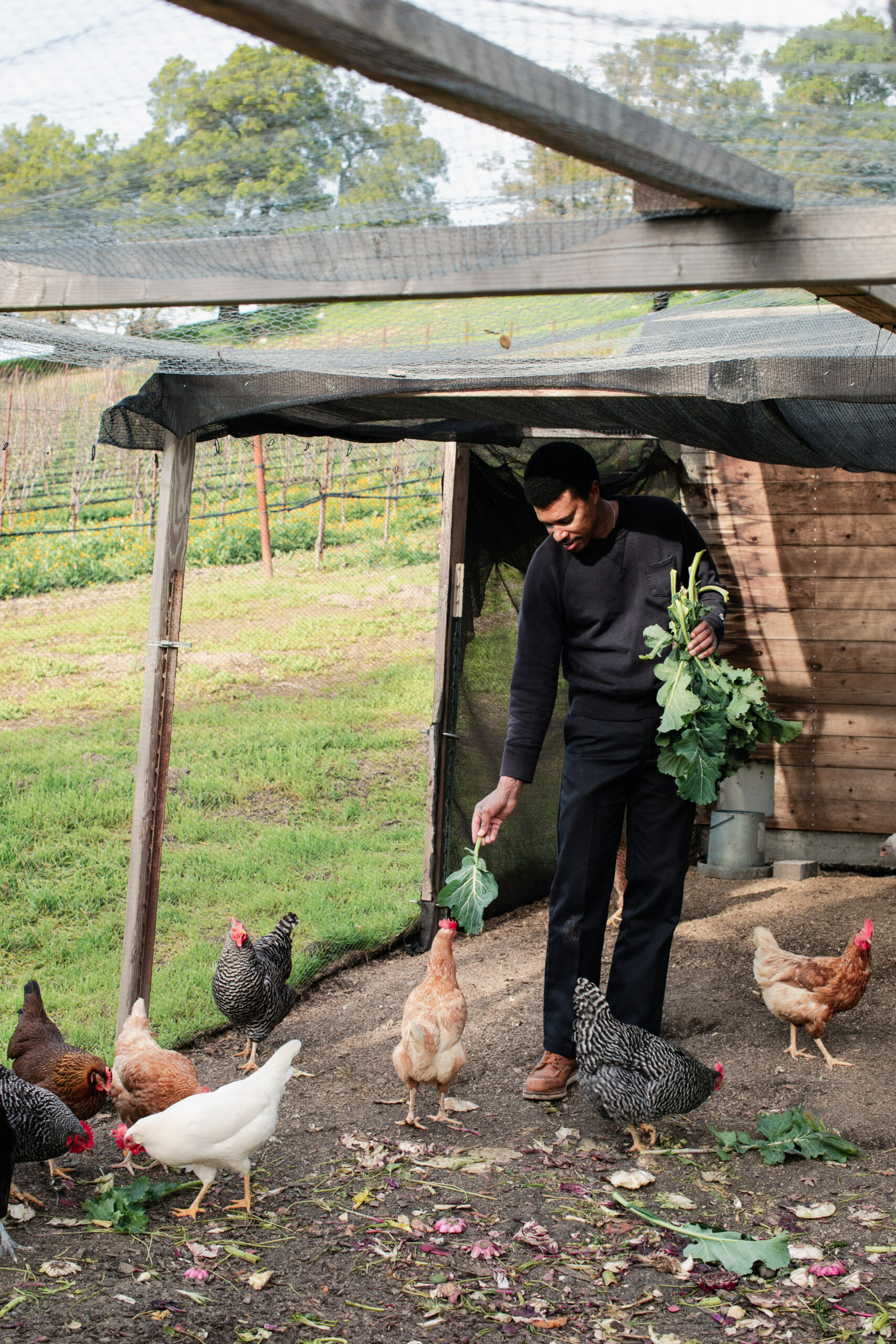 Carter often tends to the garden and chickens alone, while listening to audiobooks about farming and food. (Eileen Roche/for Sonoma Magazine)