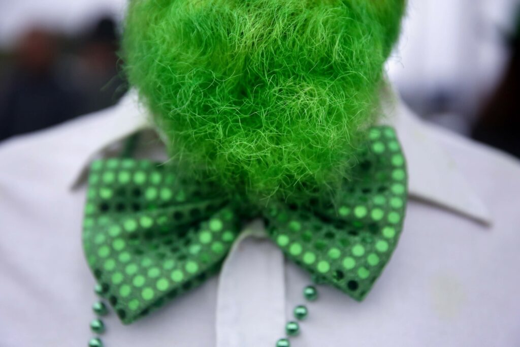 Pat Davis died his beard green for the St. Patrick's Day parade in Healdsburg, on Tuesday, March 17, 2015. (Beth Schlanker/The Press Democrat)