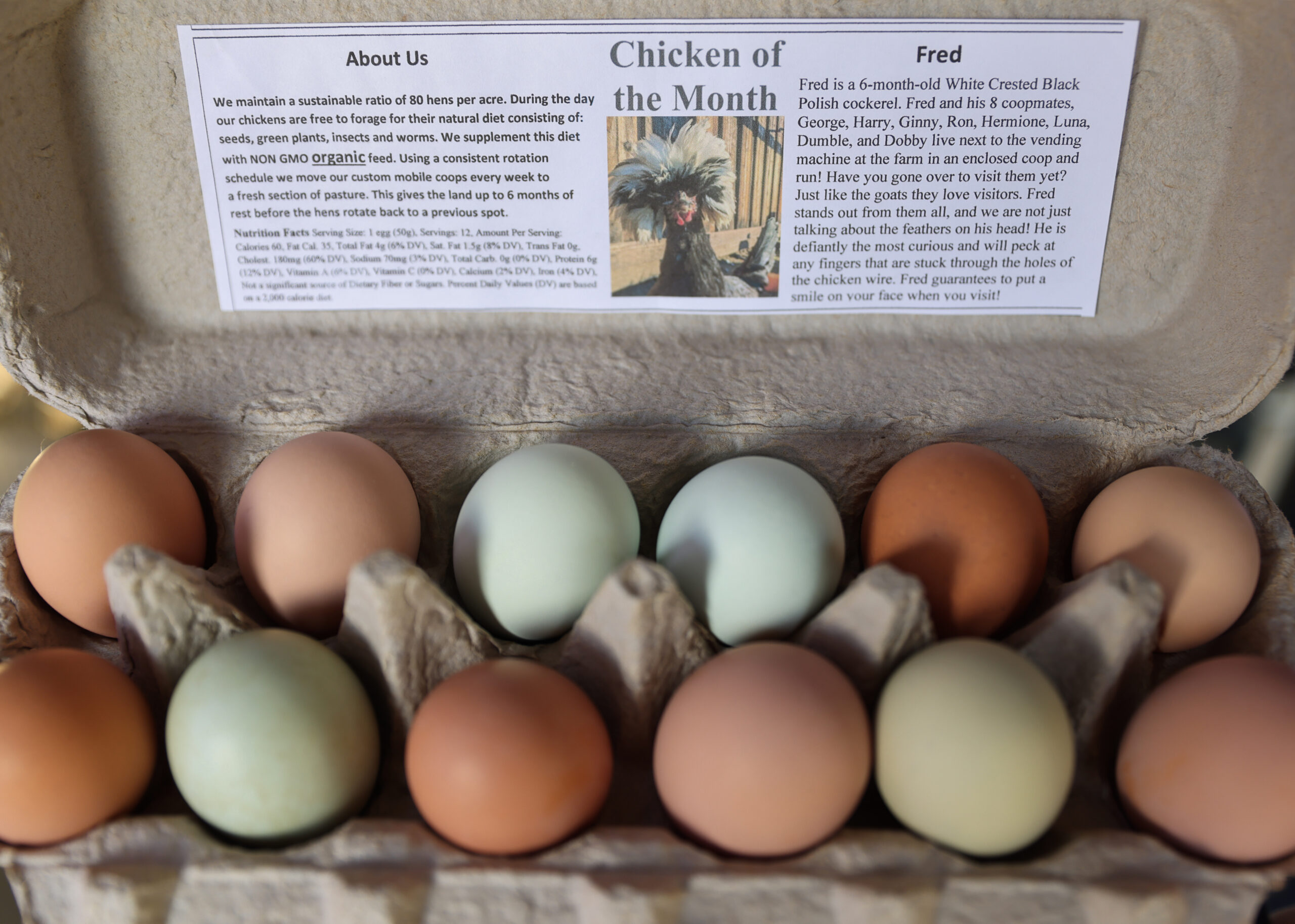 A carton of eggs from the egg vending machine at Wise Acre Farm in Windsor. (Christopher Chung/The Press Democrat)