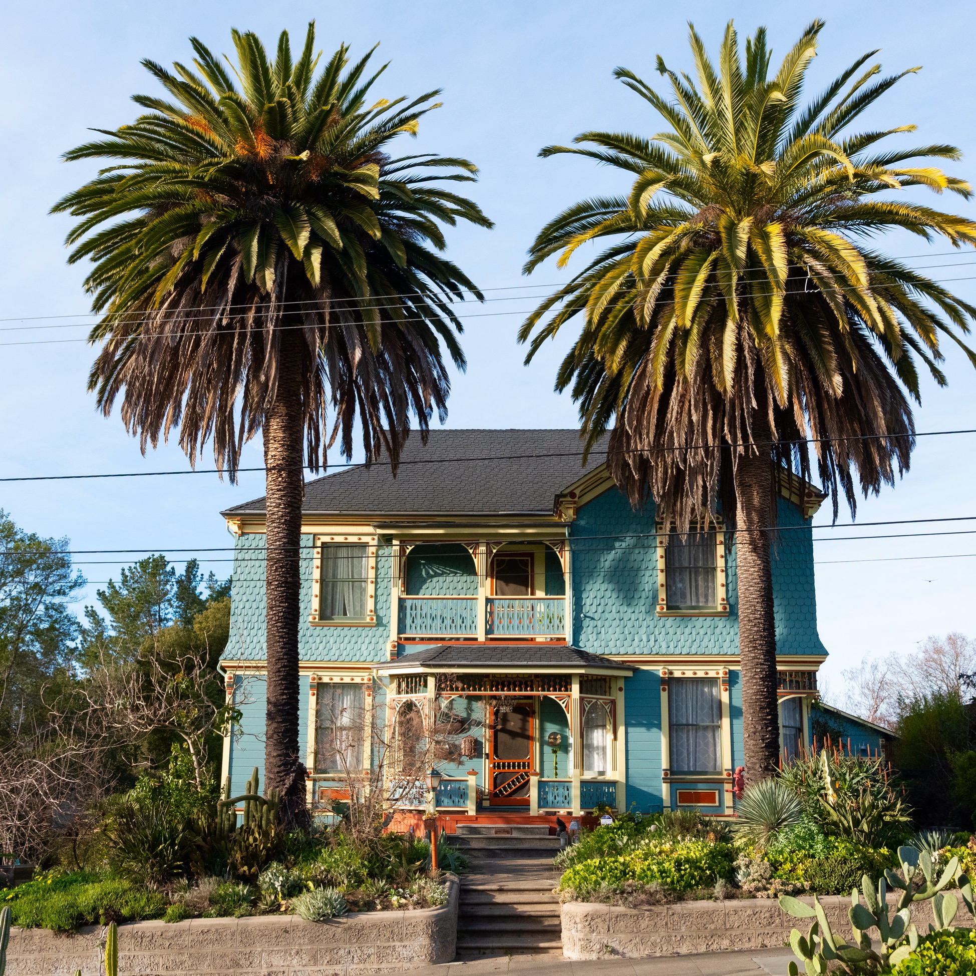 The Hall home in Petaluma. (Eileen Roche/for Sonoma Magazine)