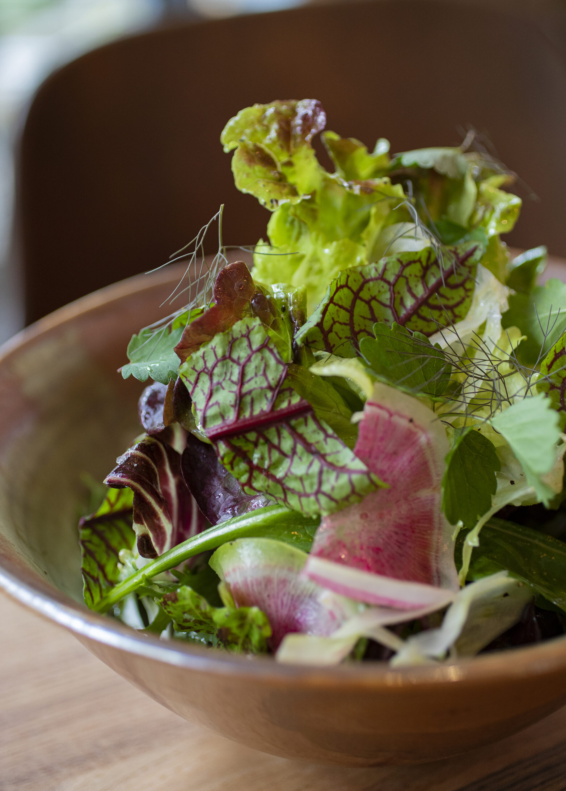 Chef Bryan Olivers Saintly Greens with red wine vinaigrette at Little Saint during Fridays grand opening in downtown Healdsburg on April 22, 2022. (Chad Surmick / The Press Democrat)