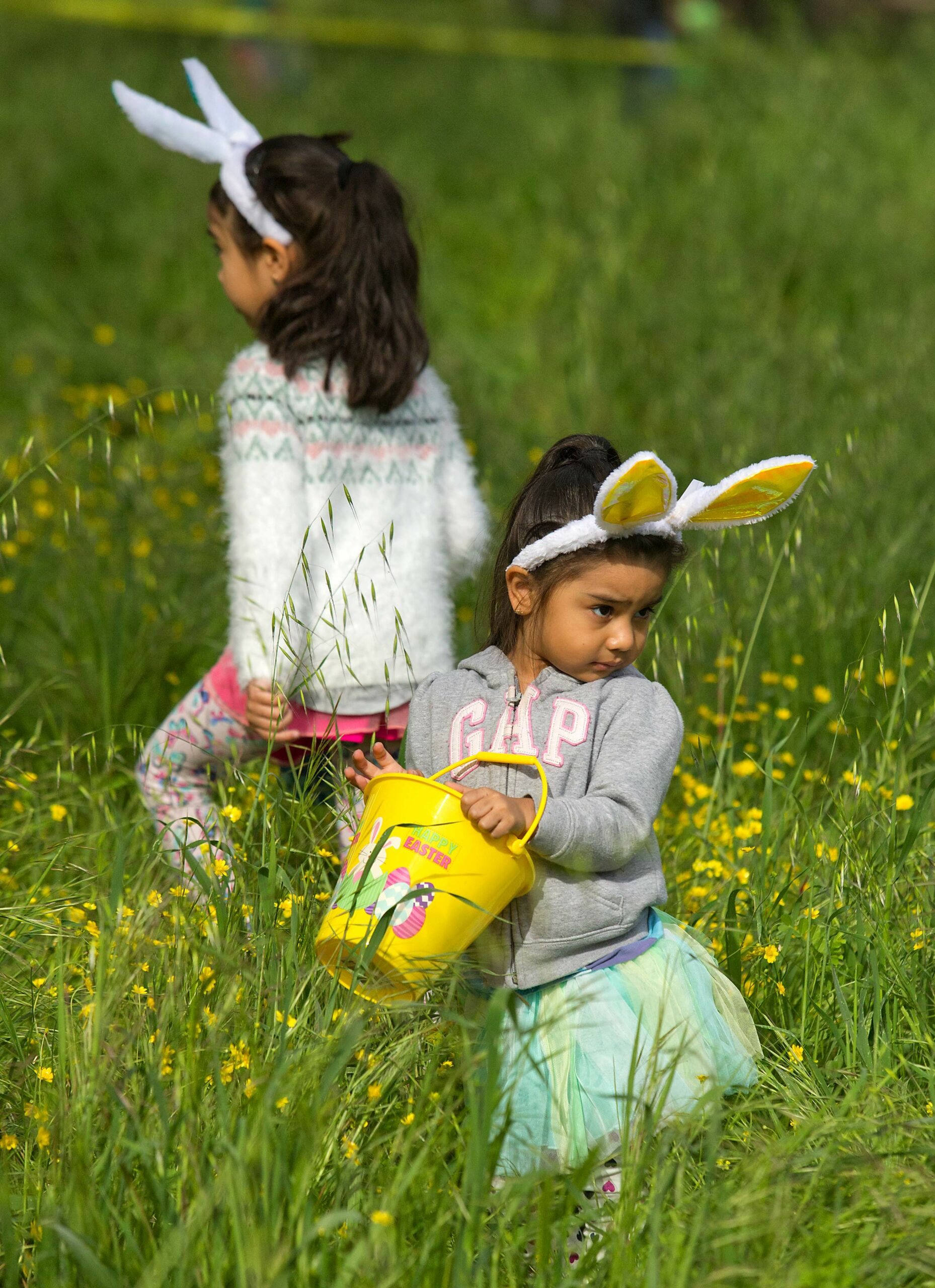 Ximena, 3, right, and sister Allison Rivera search for eggs in the tall grass at the 30th annual Glen Ellen Easter egg hunt at Dunbar School. (John Burgess/The Press Democrat)