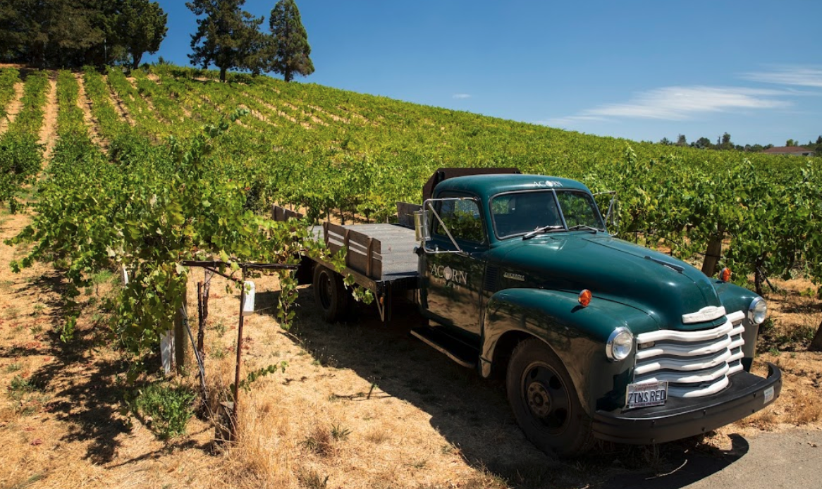 Acorn Winery is located in one of the warmest sections of the Russian River Valley. (Courtesy of Acorn Winery)