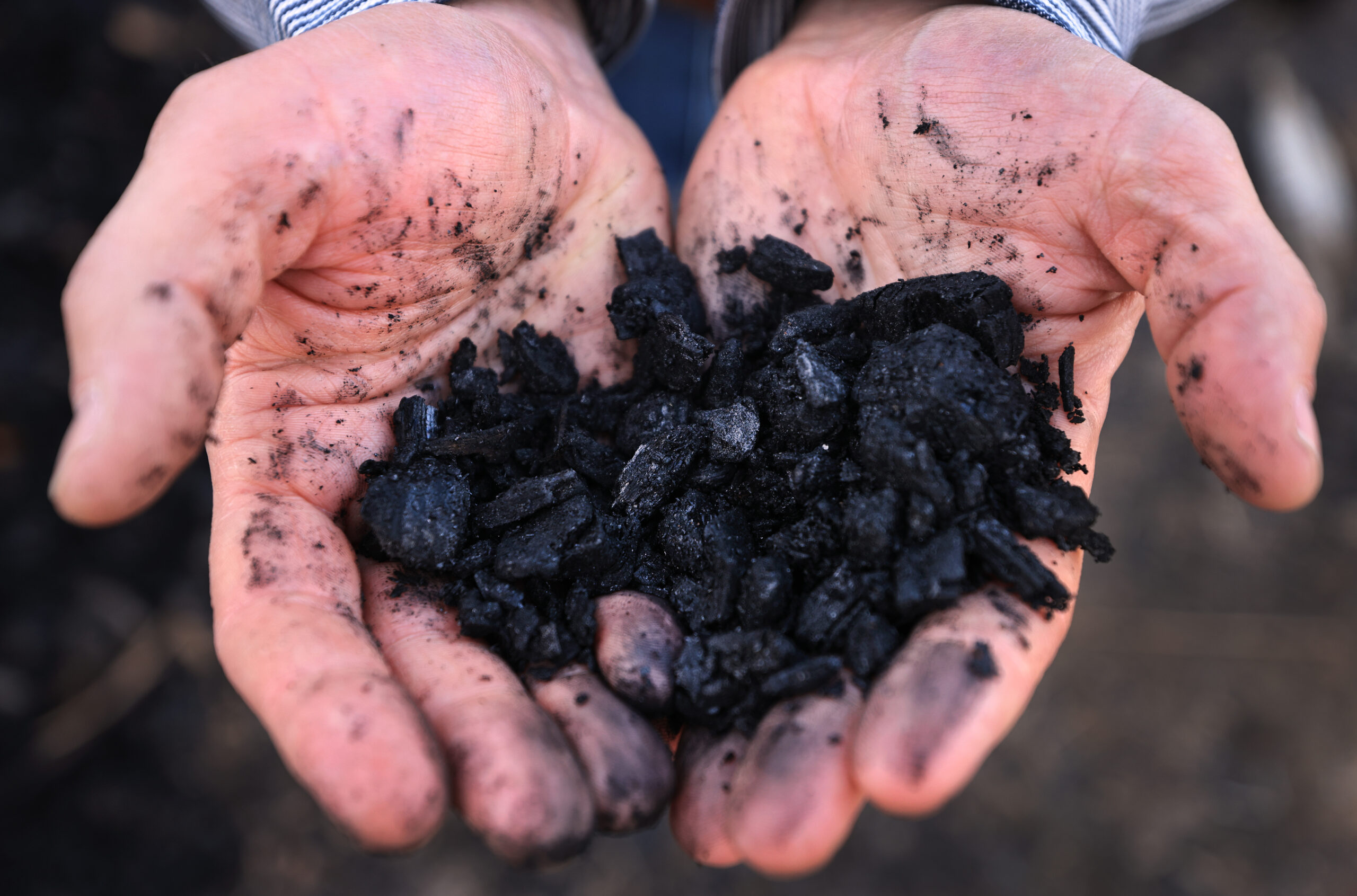 Dan Falk, fifth generation Sonoma County resident, Thursday, Jan. 13, 2022 in the hills above Sonoma County. Falk purchased a Tiger Cat Carbonizer a machine the processes a large amount of wood and slash at the right temperature to create biochar. (Kent Porter / The Press Democrat) 2022