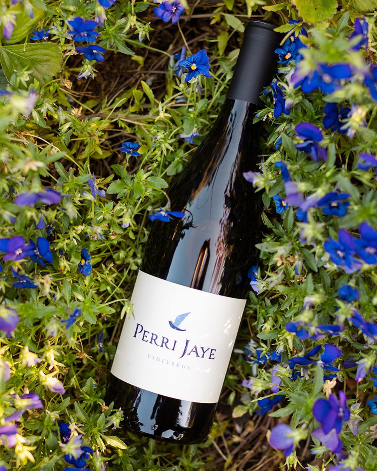 (Perri Jaye Vineyards)