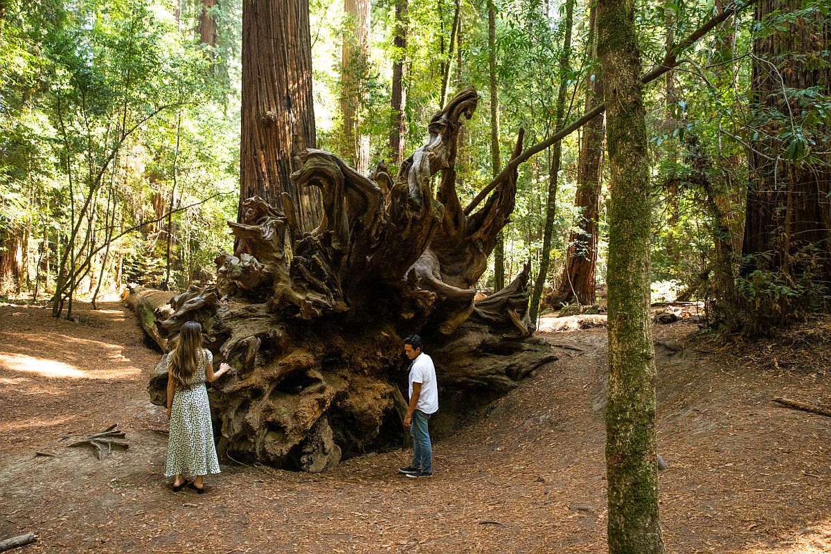 Mendocino Getaway Best Things to Do in Anderson Valley Sonoma Magazine