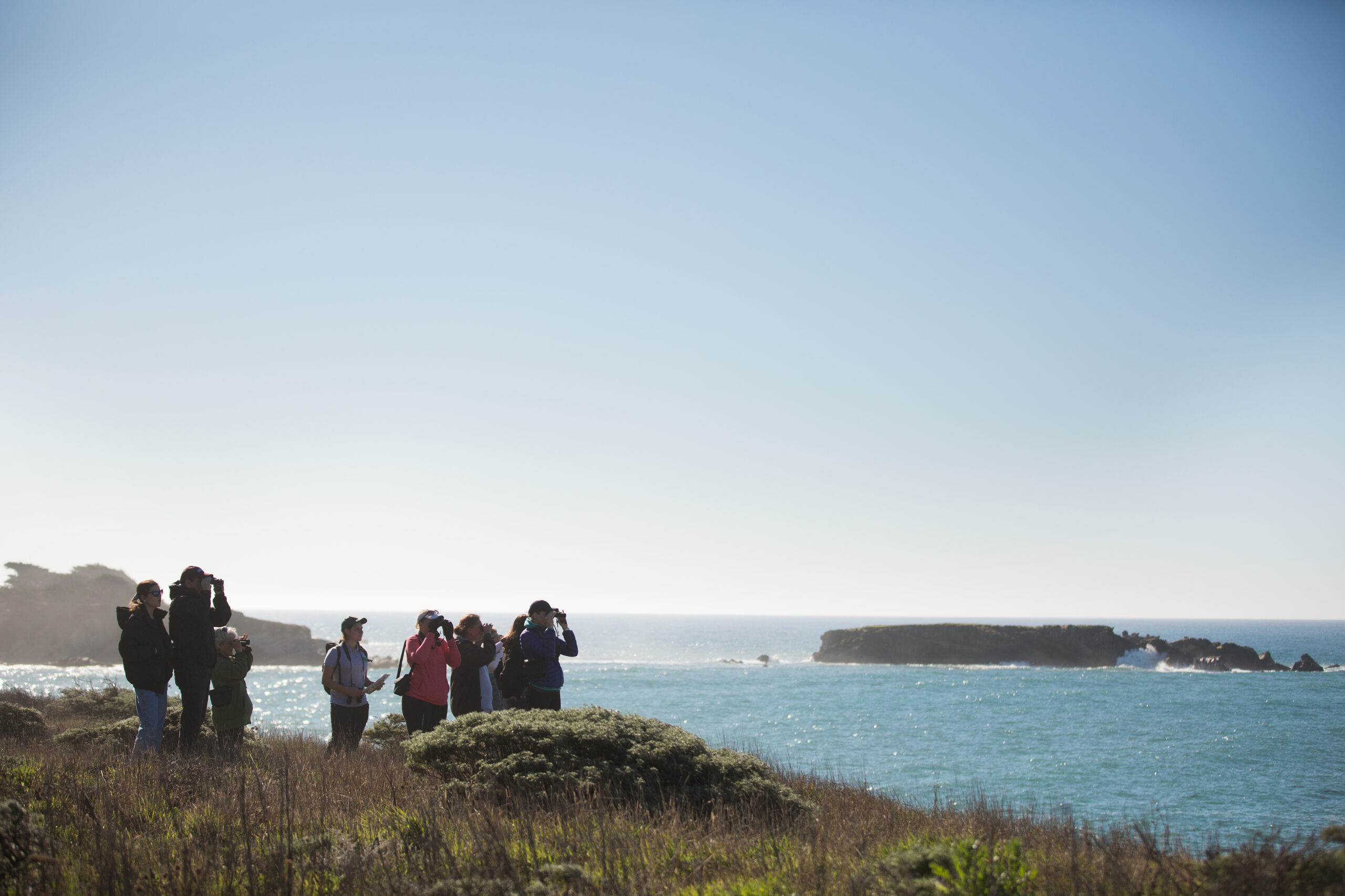 People whale watching at Gualala Point Regional Park on the Sonoma Coast