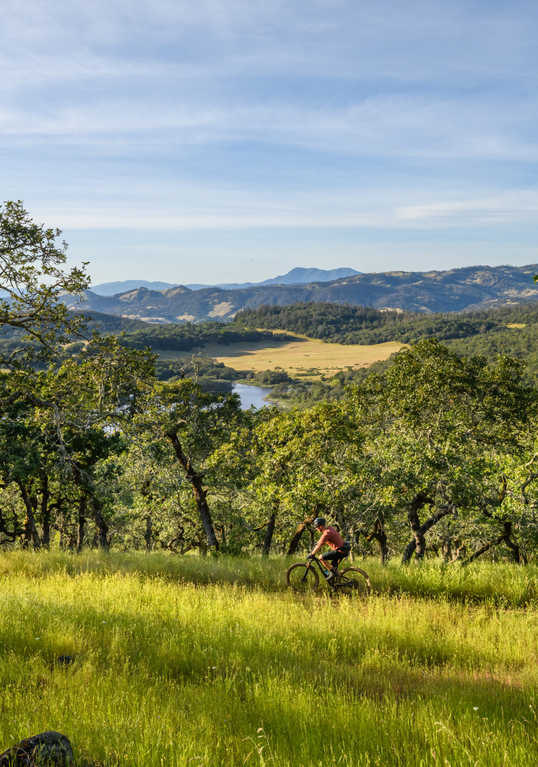 Jeremiah Kahmoson mountain biking in Annadel-Trione State Park, Santa Rosa, California