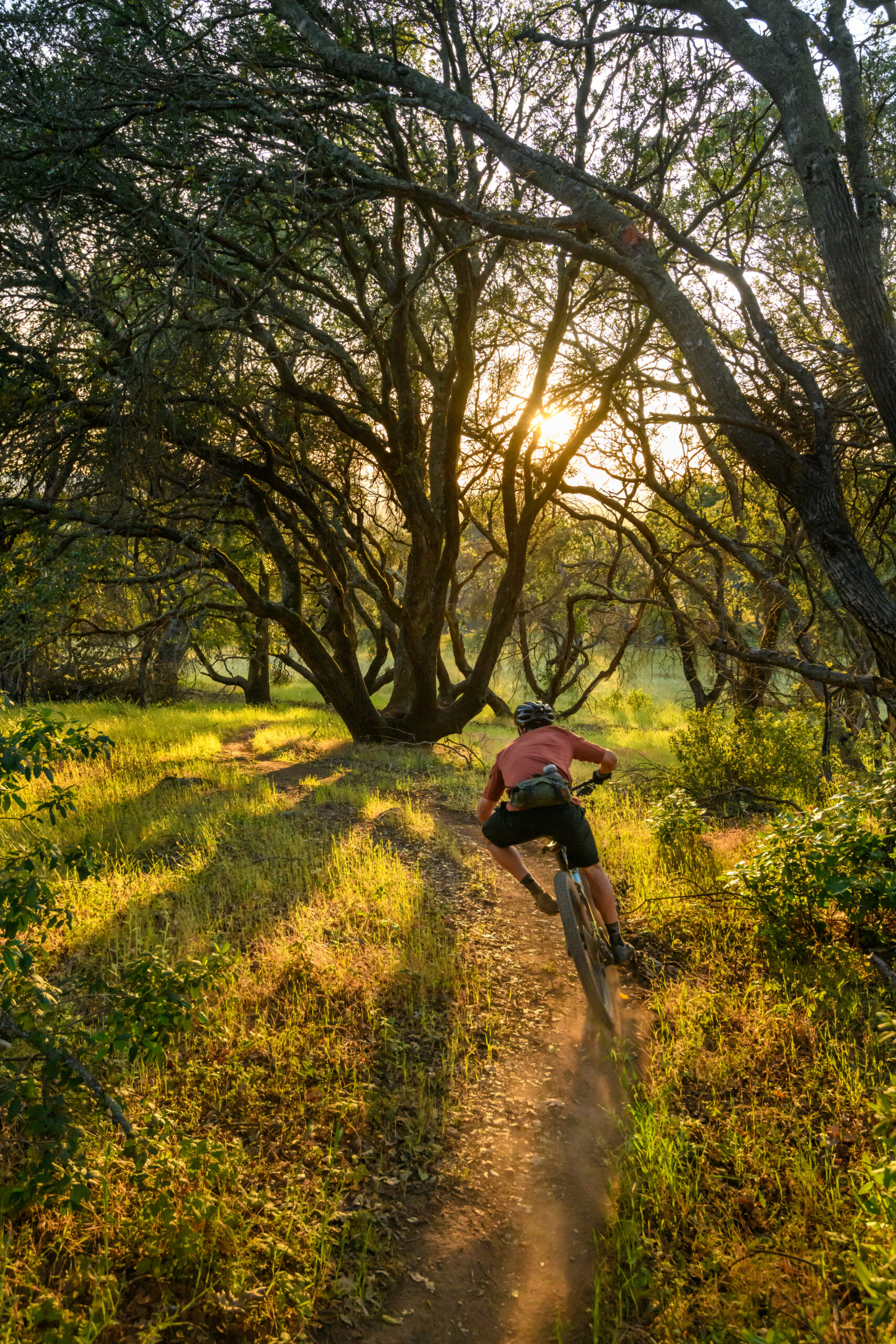 Jeremiah Kahmoson mountain biking in Annadel-Trione State Park, Santa Rosa, California