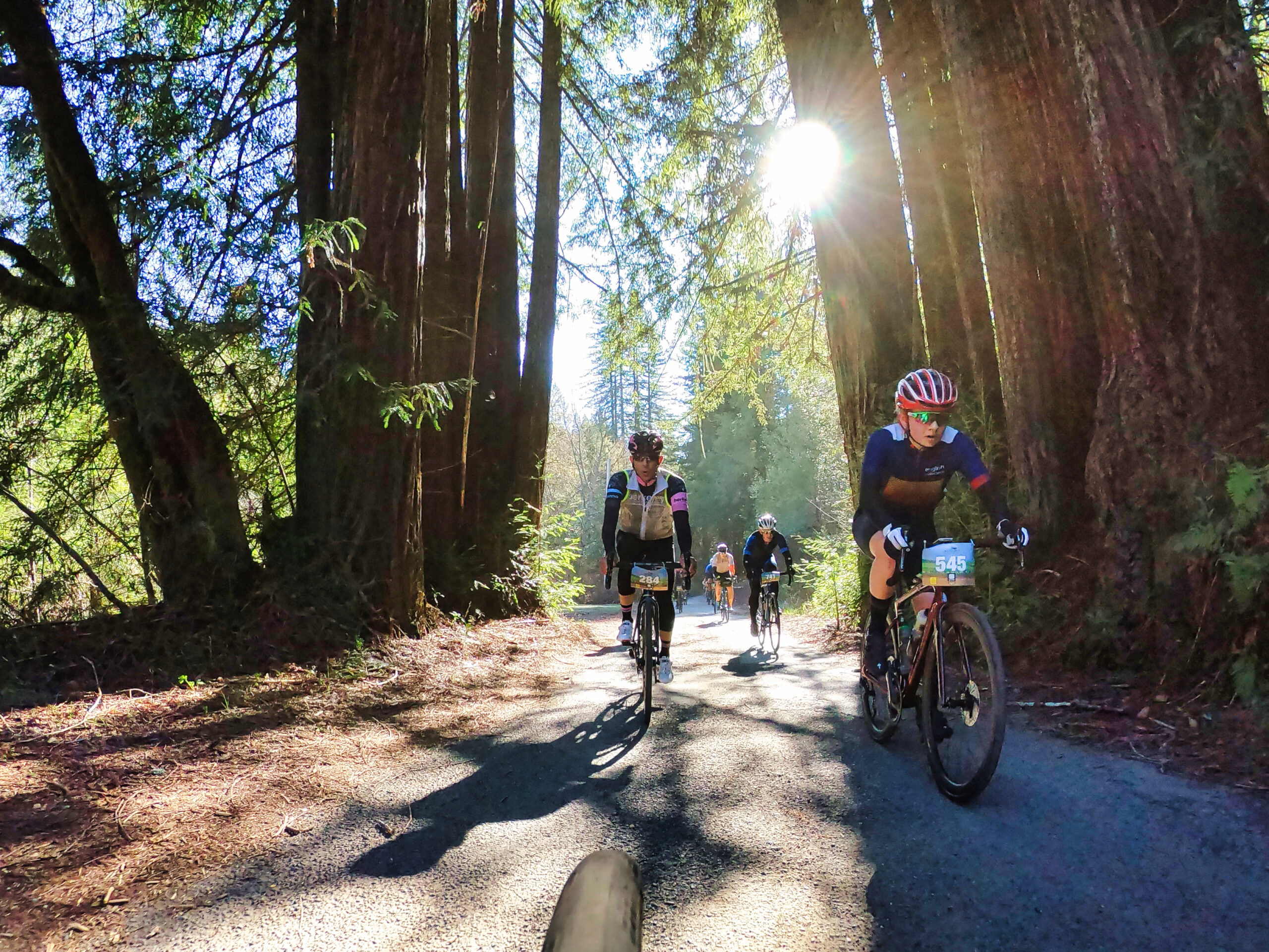 Sonoma’s own grasshopper race series. (Kim Carroll)