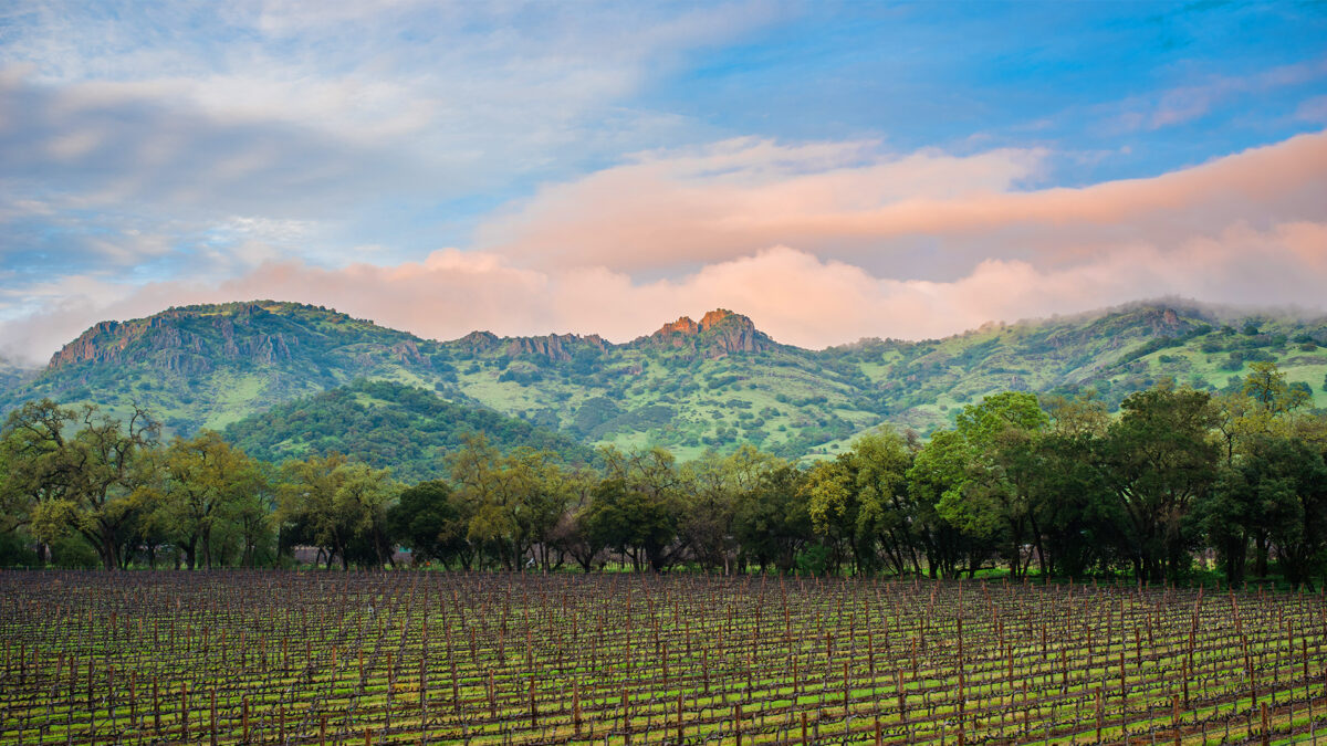 Best Places to Eat and Drink Outdoors in Yountville Sonoma Magazine