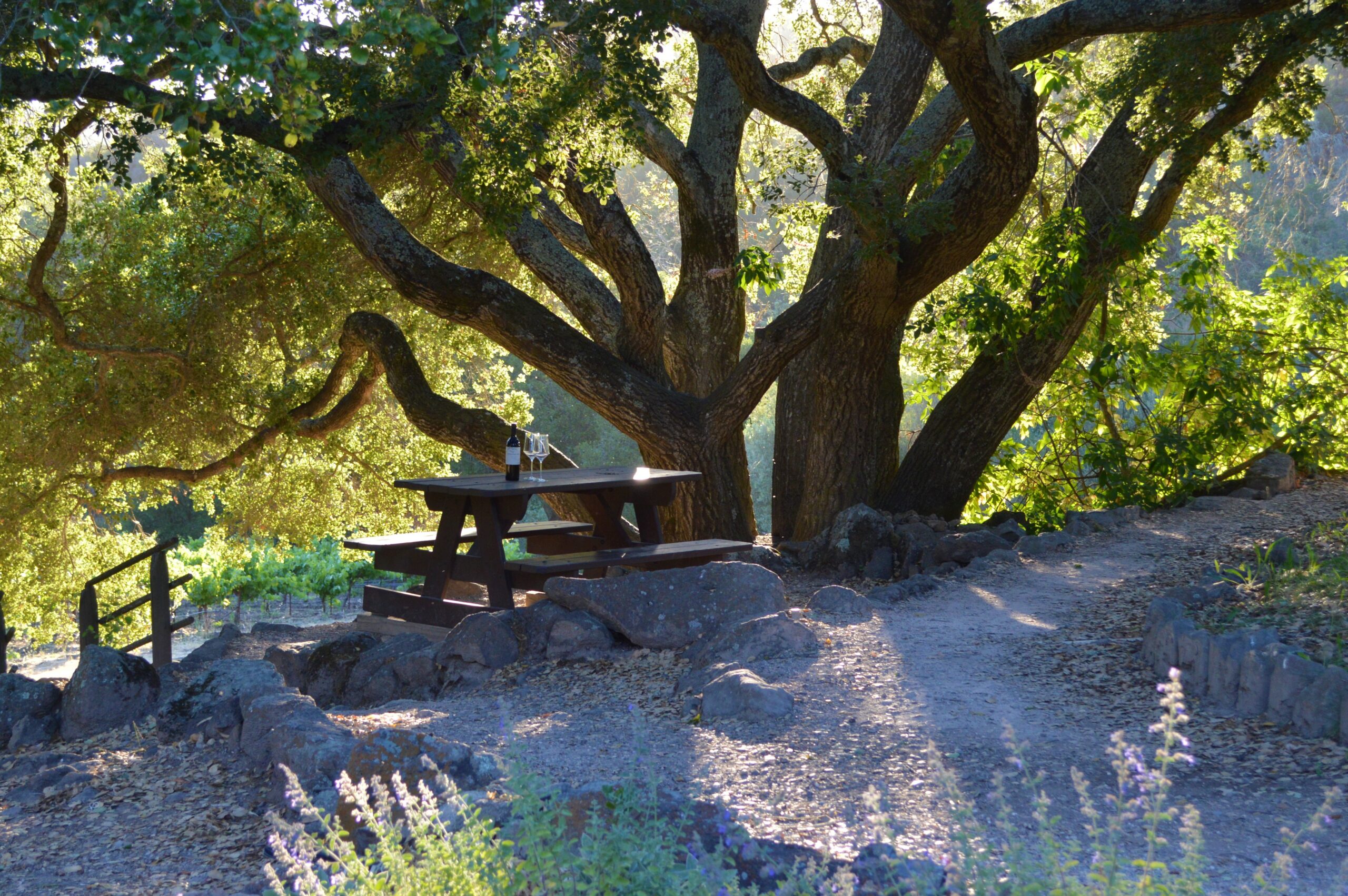 Golden hour picnic in Antonia's Garden at Bartholomew Estate Winery. (Michelle Hogan)