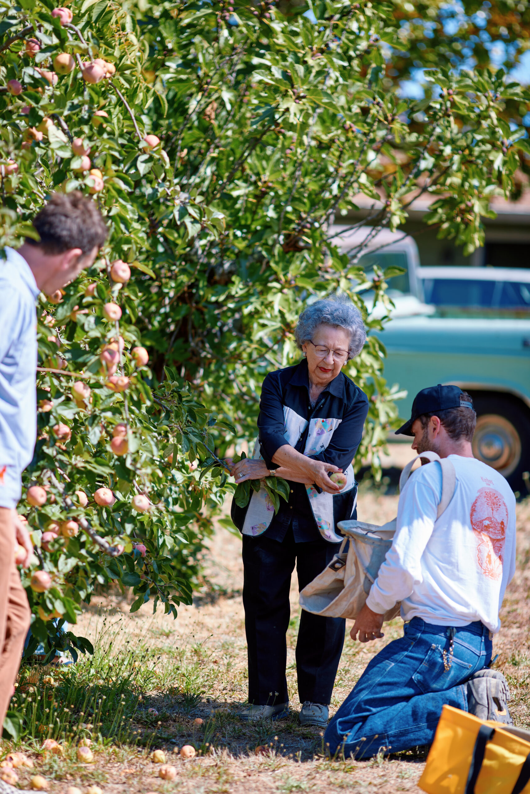 Gloria Leveroni owns a 6-acre orchard with a mix of rare heirloom apples just off Gravenstein Highway. Many of the trees were planted by her father in the 1950s. (Photo by Kim Carroll)