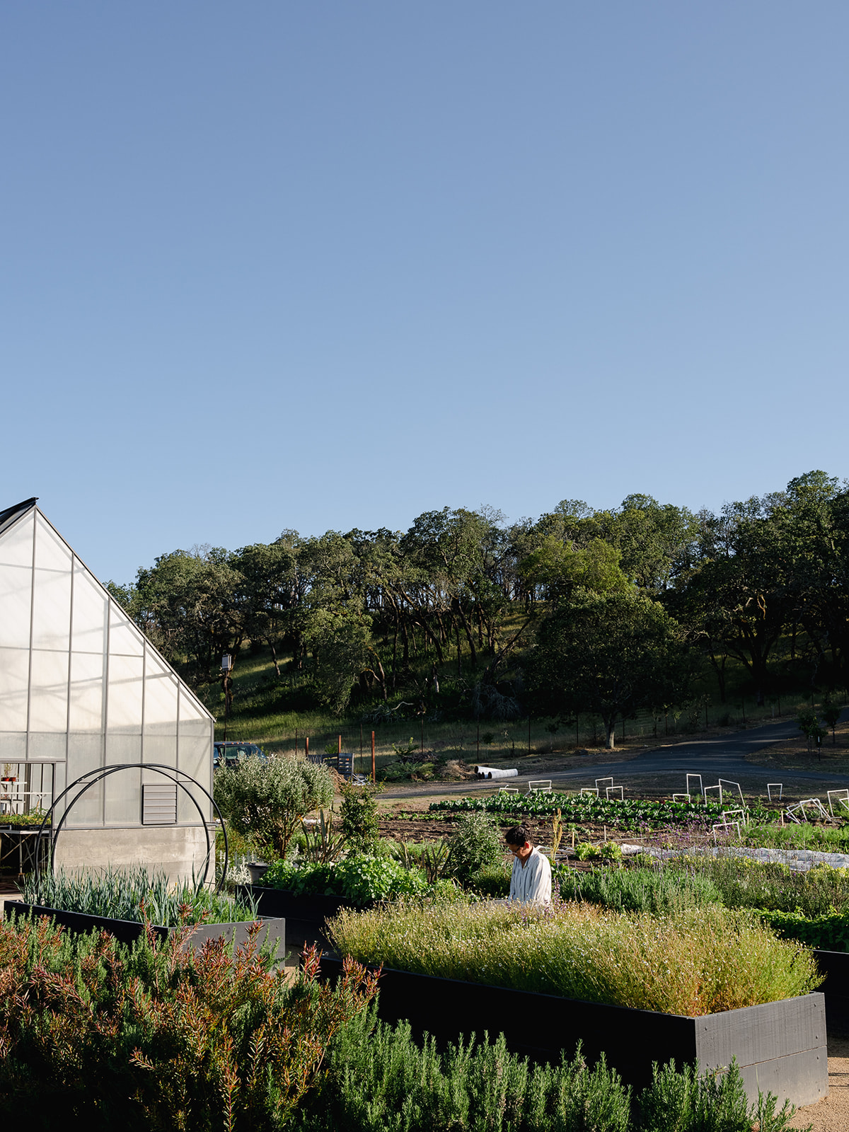 At Flatbed Farm in Sonoma. (Eileen Roche/For Sonoma Magazine)