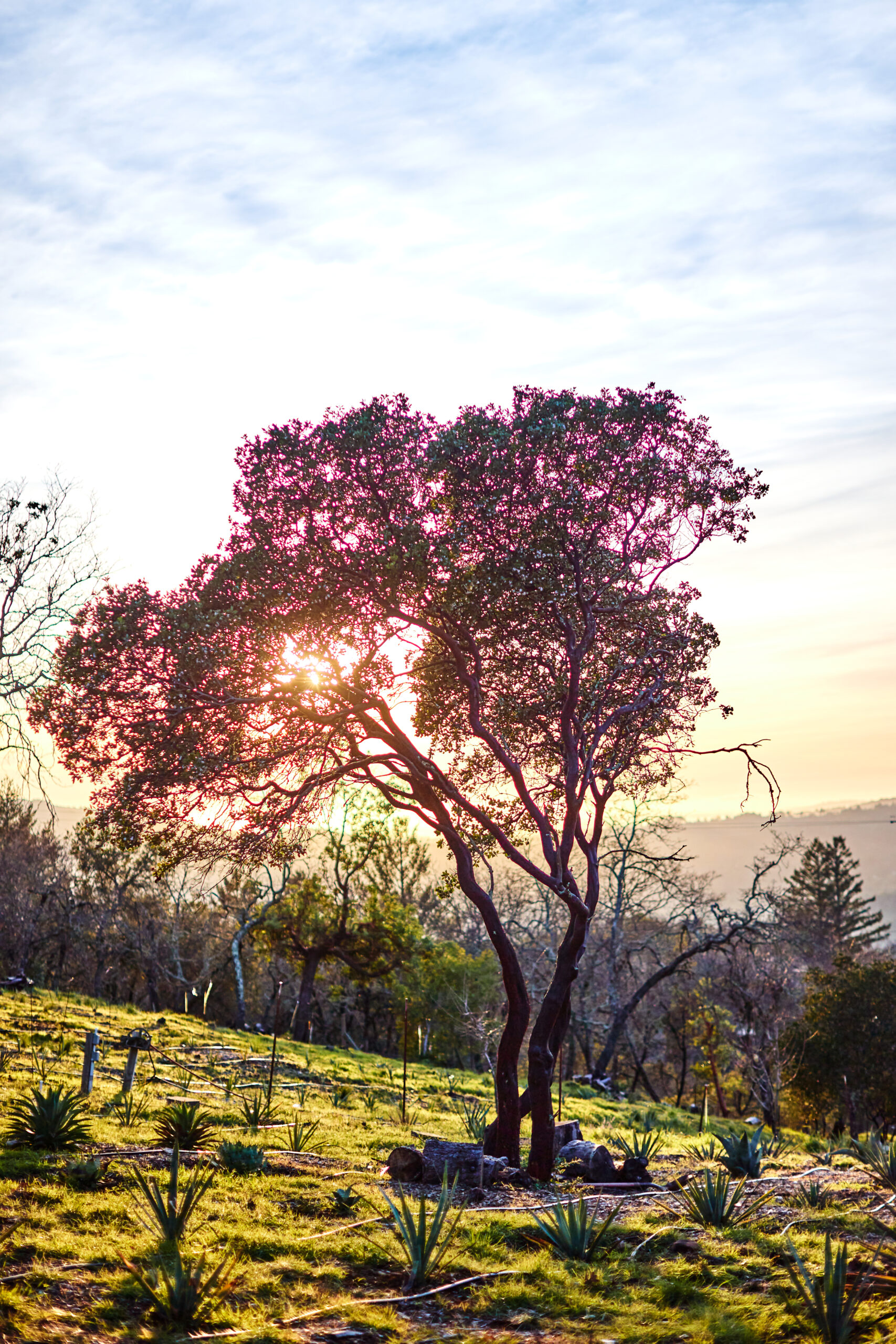 On the ranch. (Kim Carroll/For Sonoma Magazine)