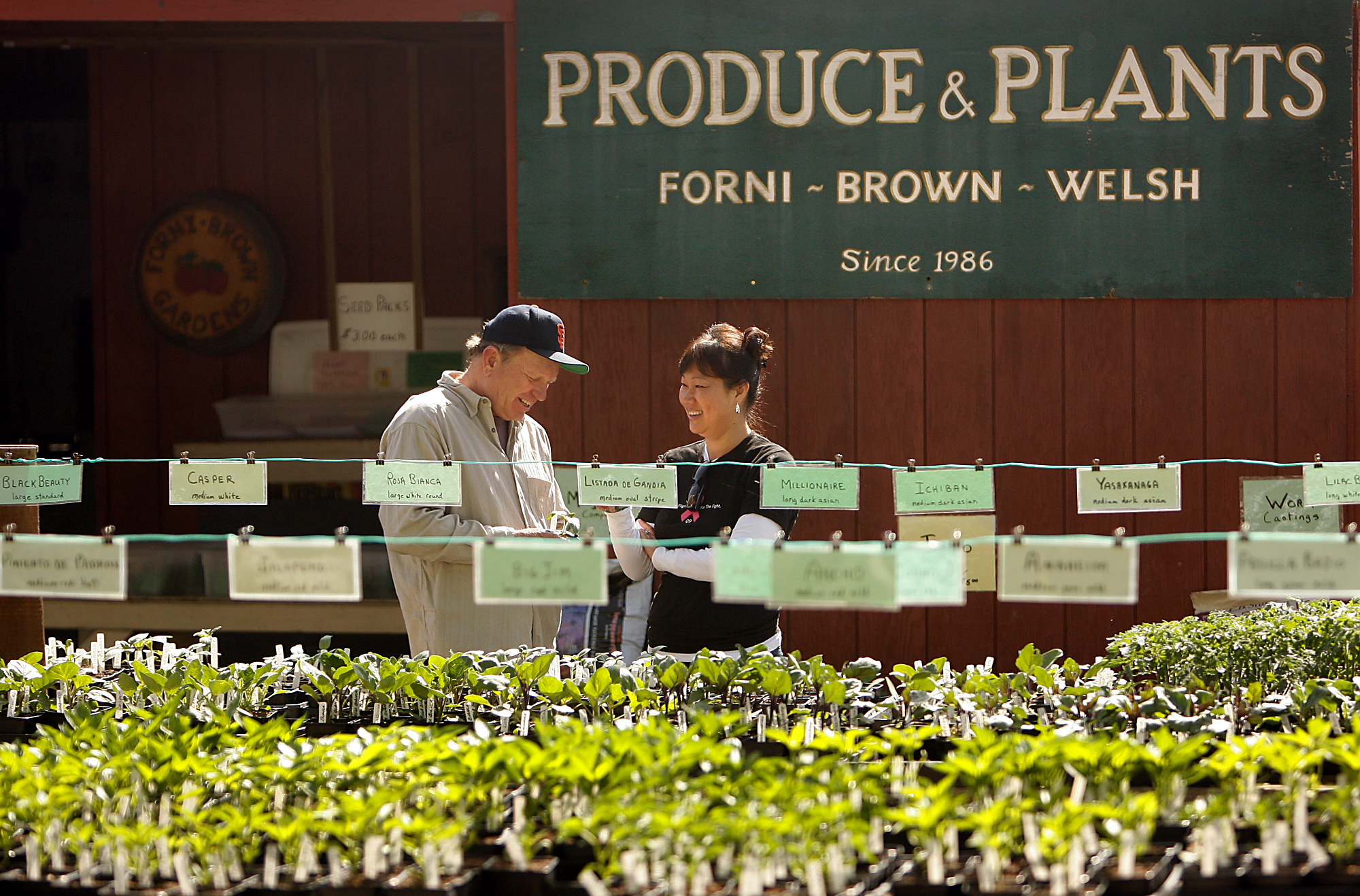 Forni Farm and Nursery in Santa Rosa. (John Burgess/The Press Democrat)