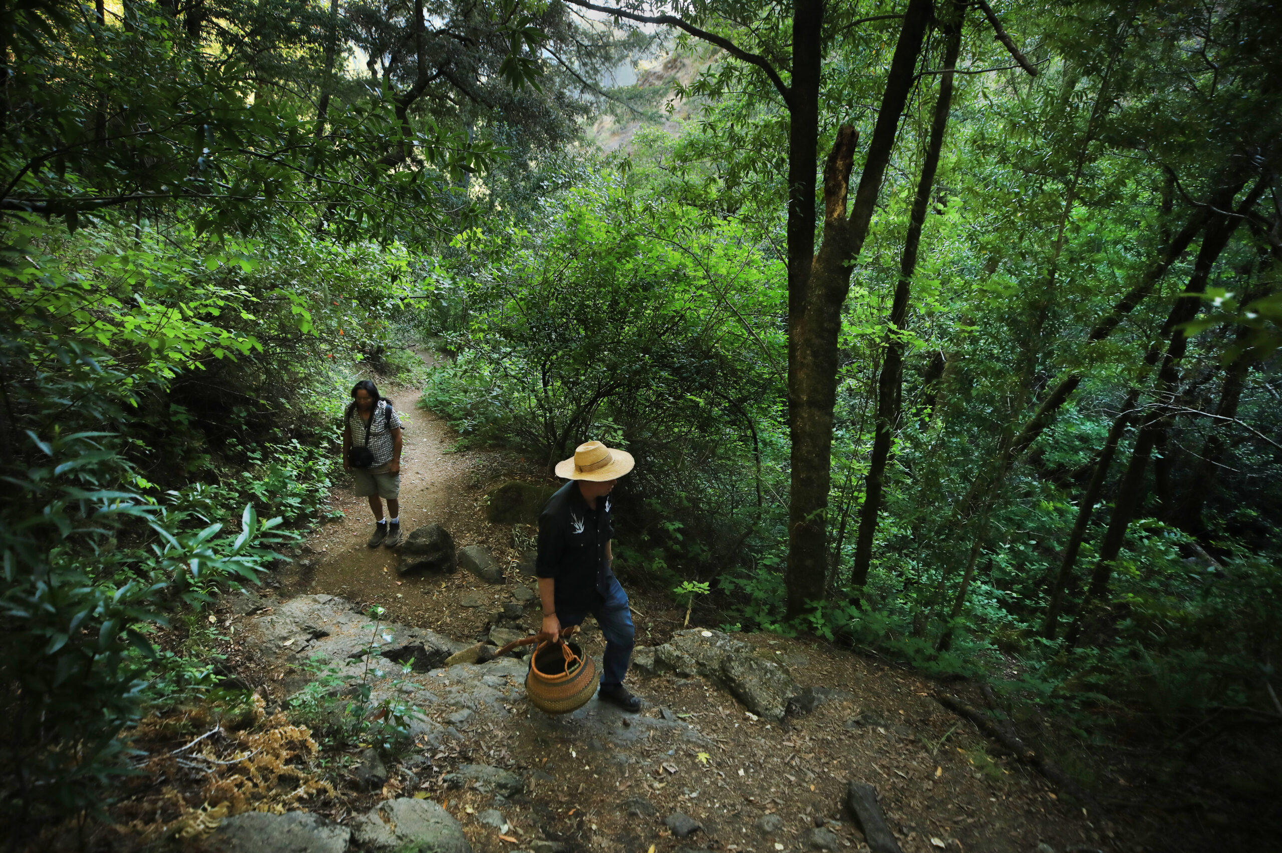 At Bohemia Preserve near Occidental, Coby Liebman and his foraging partner Redbird forage for native plants, Tuesday, May 18, 2021. (Kent Porter / The Press Democrat) 2021