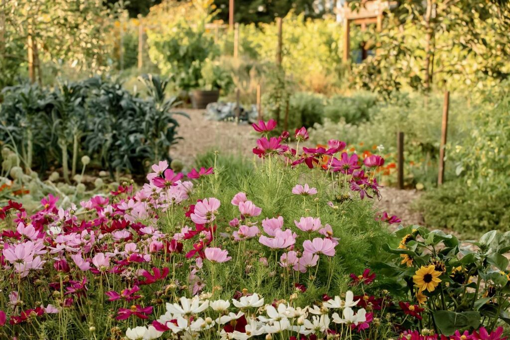 Enjoy the flowers in the garden at John Ash & Co at Vintners Resort in Santa Rosa. (Vintners Resort)