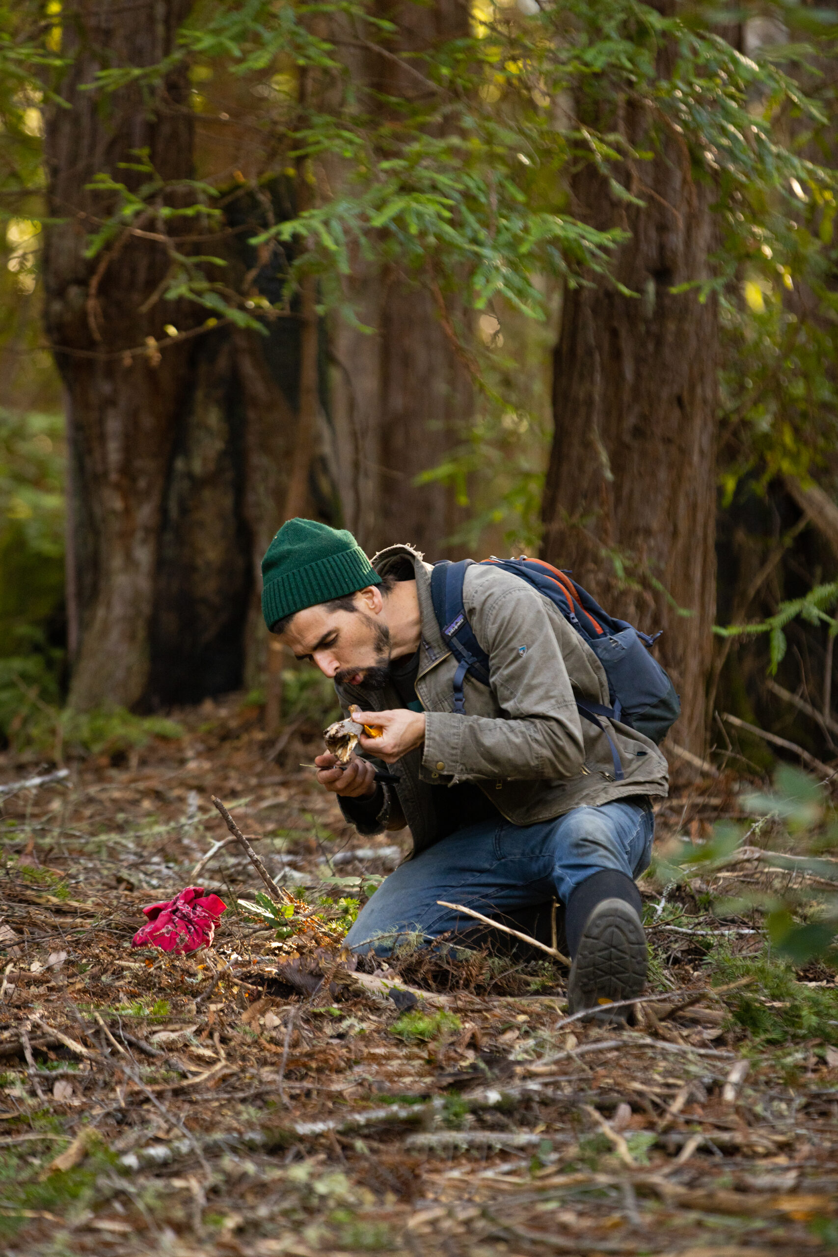 Sebastopol mushroom hunter Ryath Beauchene blows dirt off of a pigÕs ear mushroom he harvested in Salt Point State Park Monday, January 23, 2023. (John Burgess/Sonoma Magazine)