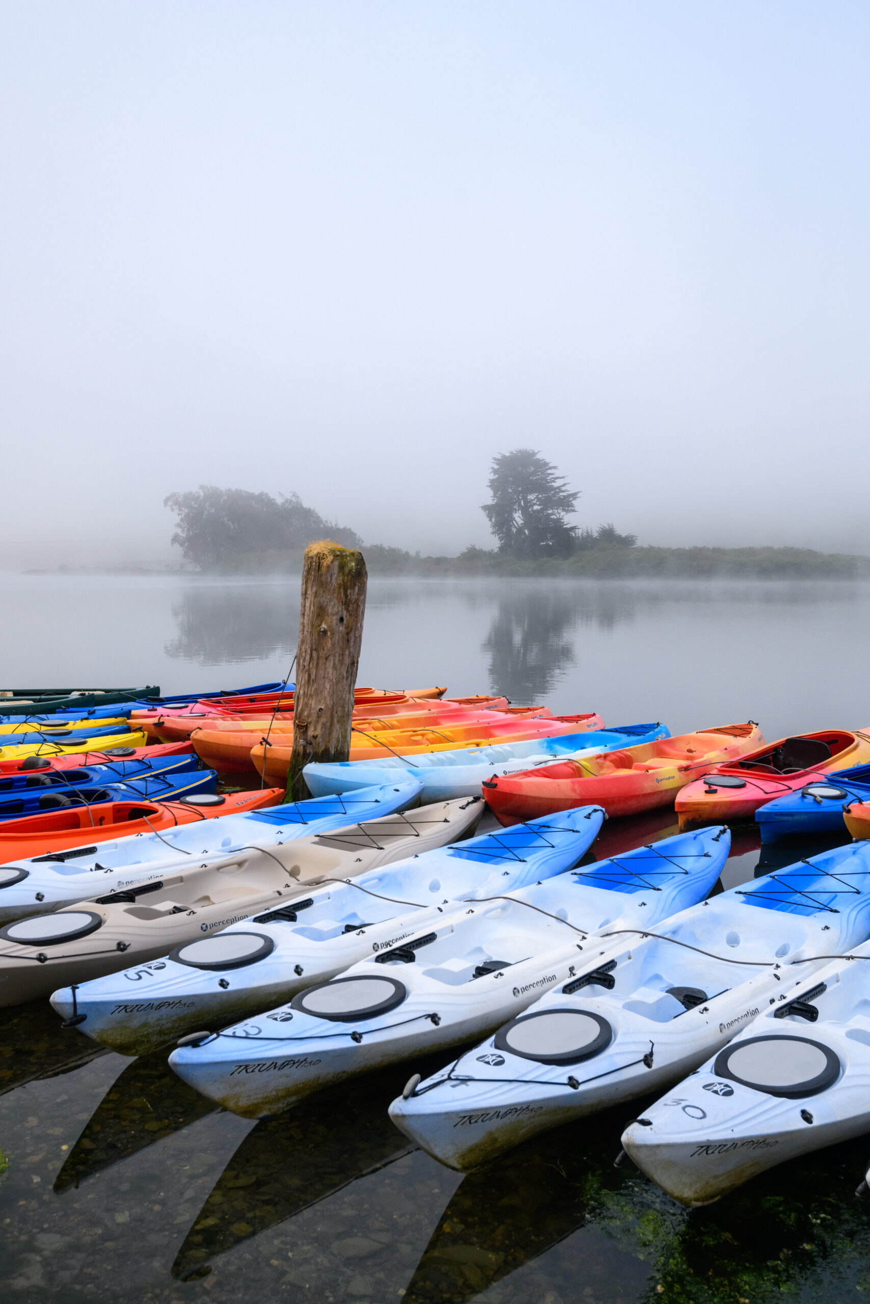 Suki Waters, owner of Watertreks Eco Tours, Jenner, California.