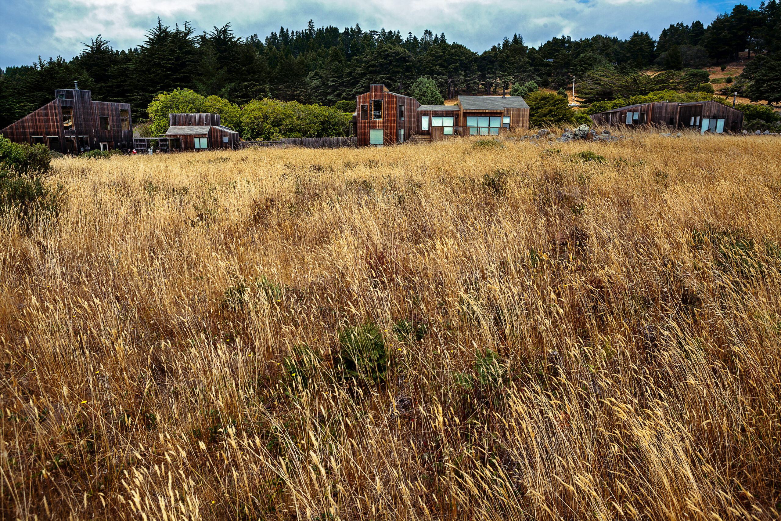 Windswept meadows and tall cypresses at the Sea Ranch. (Chris Hardy/For Sonoma Magazine)