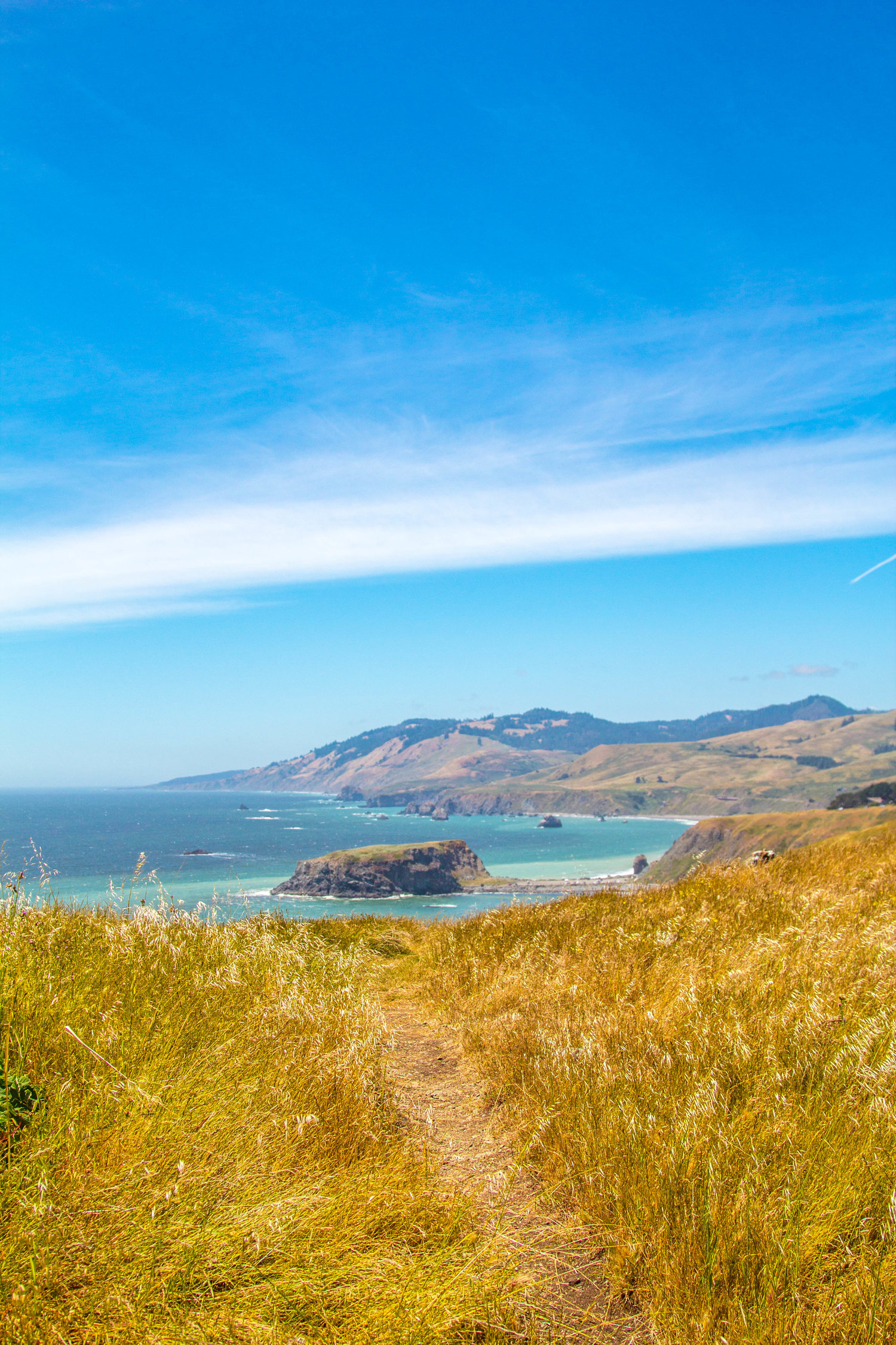 Sonoma Coast State Park