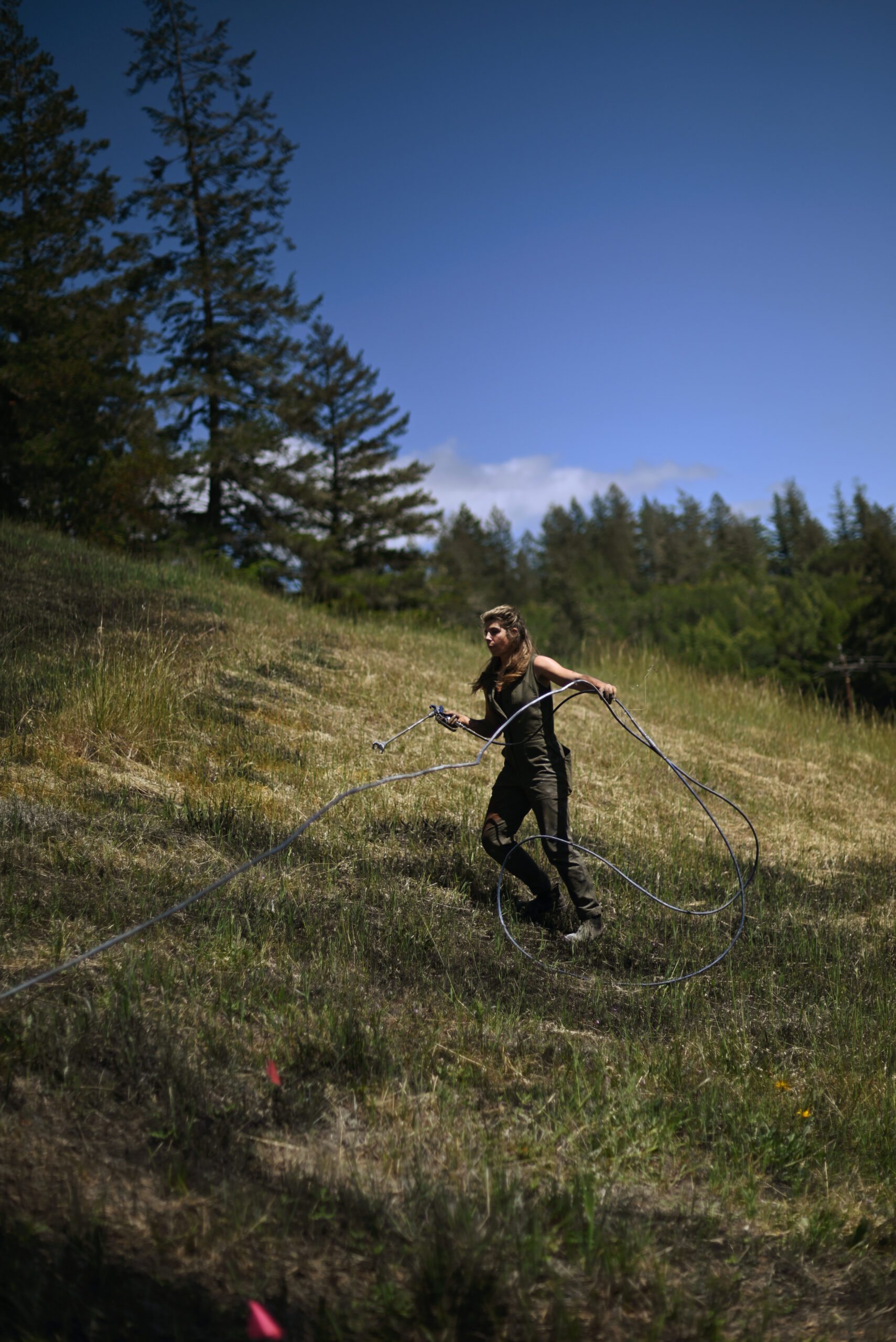 Kelsi Anderson working on her large scale earth painting of an owl on a hillside at Green Valley Farm in West Sebastopol. May 10, 2023. (Photo: Erik Castro/for Sonoma Magazine)