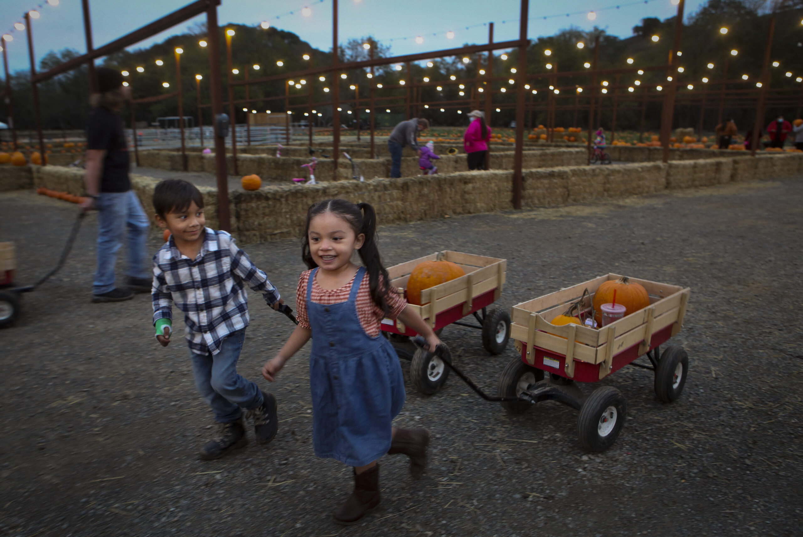 Mickelson Pumpkin Patch 