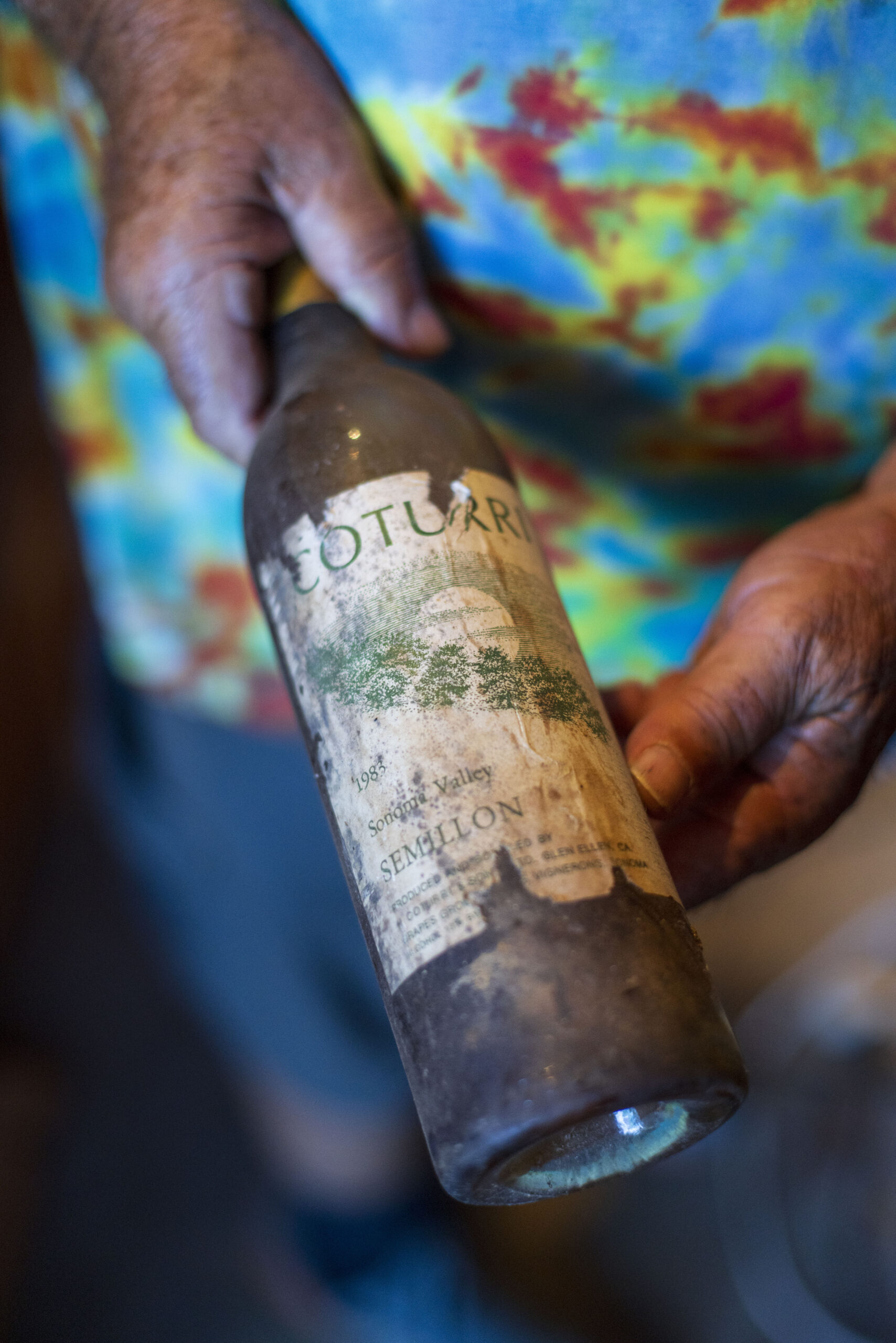The dusty thread of history: a bottle of 1983 Sémillon from Coturri's private wine cave, dug into the hillside at his Moon Mountain home. (Conor Hagen/for Sonoma Magazine)