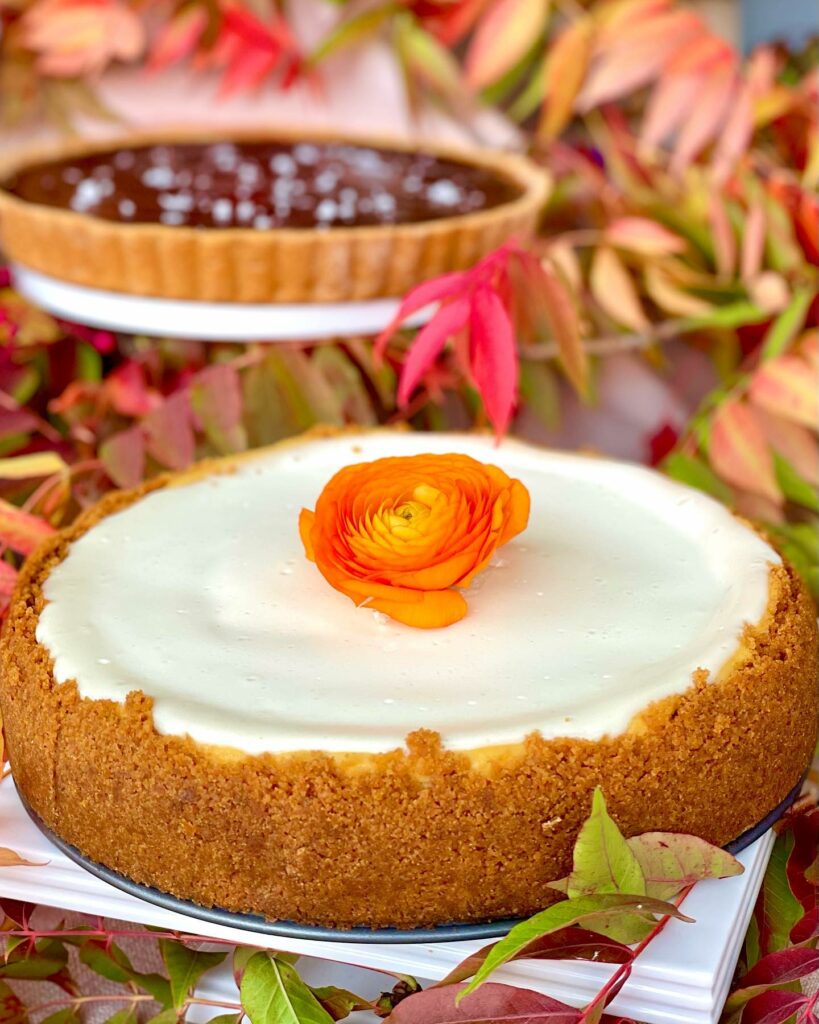 Pumpkin cheesecake from Stellina Pronto in Petaluma. (Stellina Pronto)