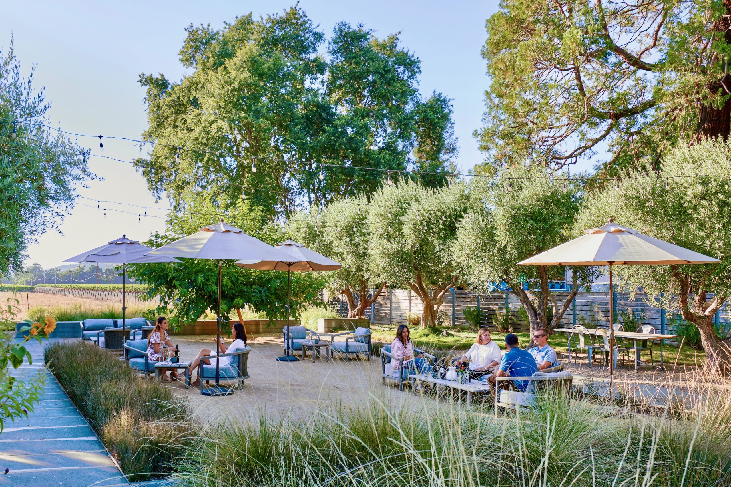 Best Sonoma wineries Medlock Ames