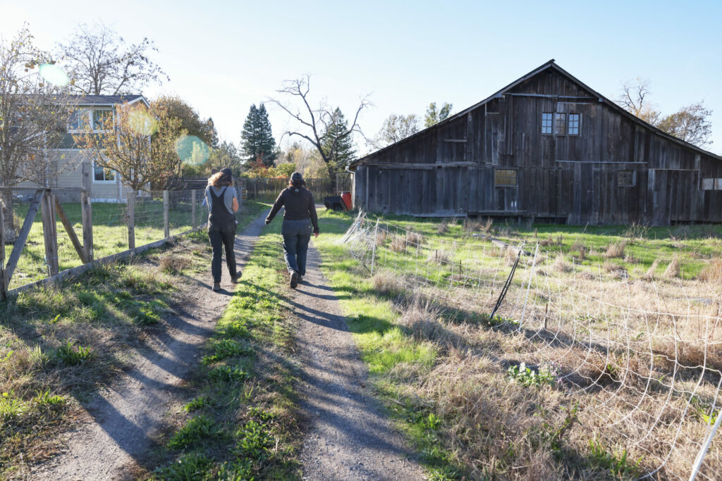 Sarah and Anna Dozor walk towards the fields at Winter Sister Farm in Sebastopol on Monday, November 20, 2023. (Christopher Chung/The Press Democrat)