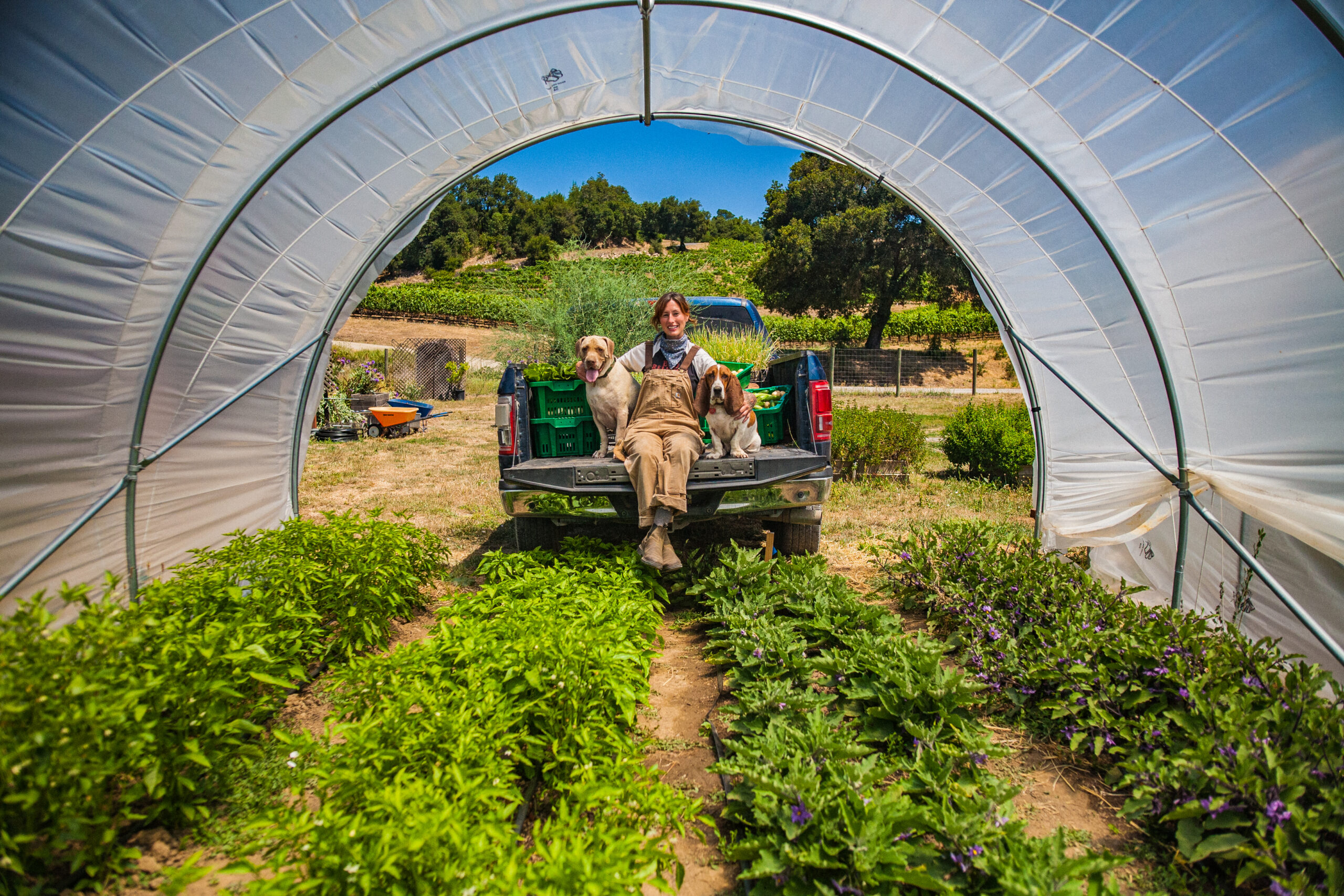 SingleThread Farm