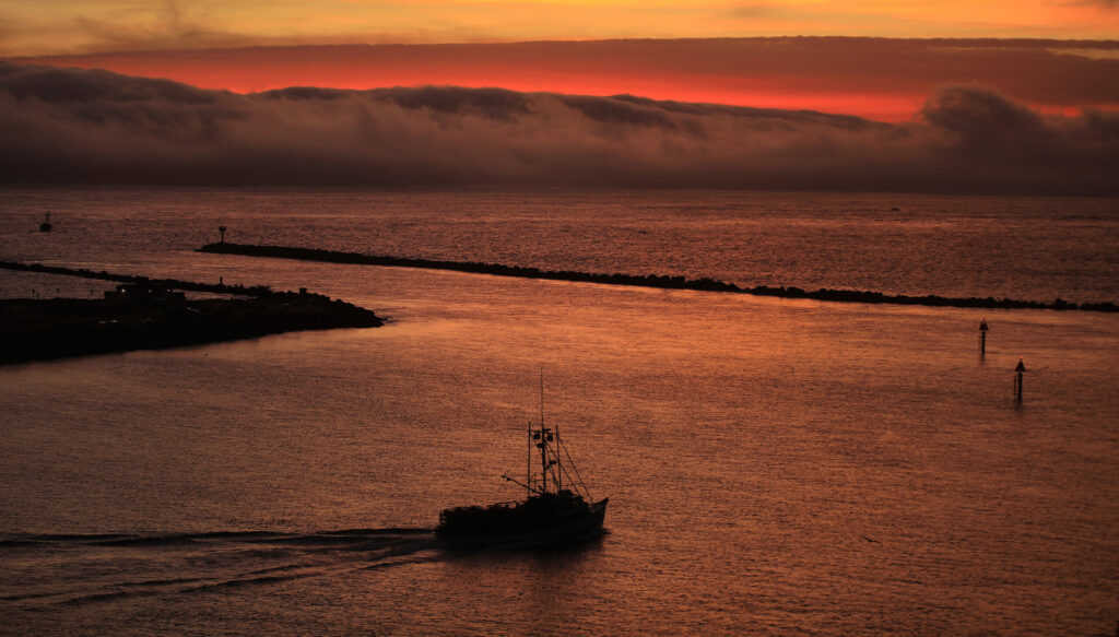 The Bodega Bay fishing fleet heads to open water, Monday, Jan. 11, 2021, as Dungeness crab season gets under way after months of delays. (Kent Porter / The Press Democrat) 2021