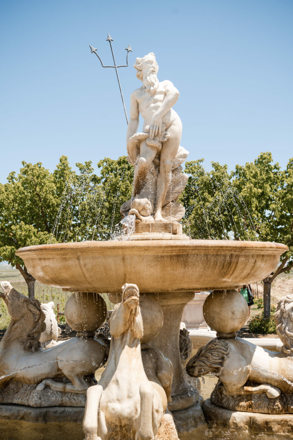 At Jacuzzi Family Vineyards in Sonoma. (Debbie Labrot, Lily Rose Photography)