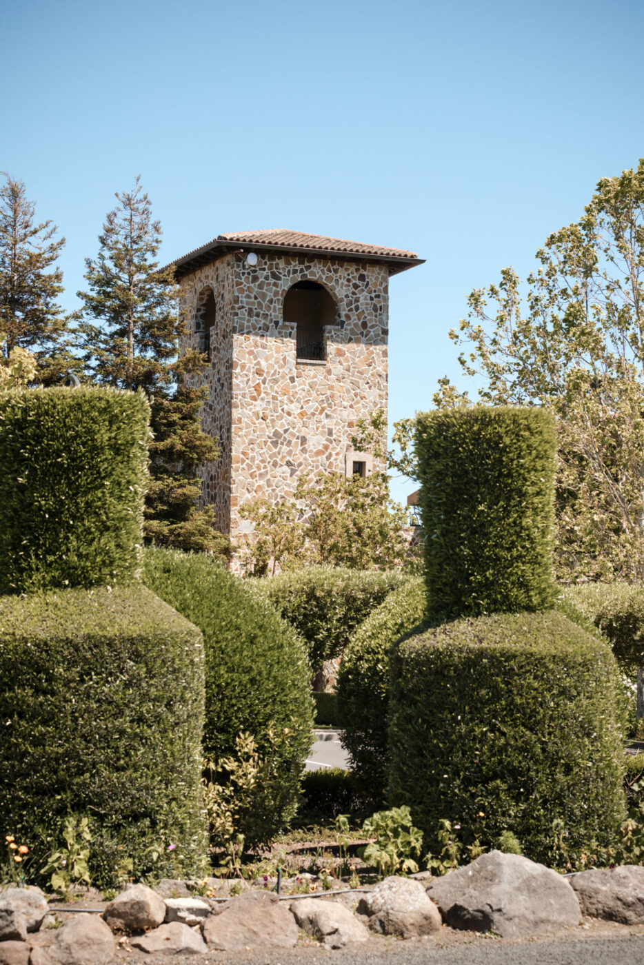 At Jacuzzi Family Vineyards in Sonoma. (Debbie Labrot, Lily Rose Photography)