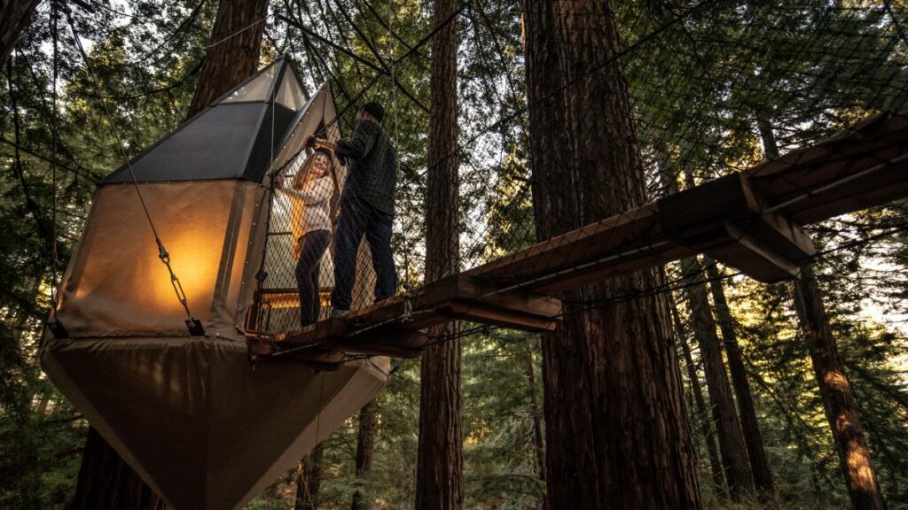 Compass treehouse in Occidental.