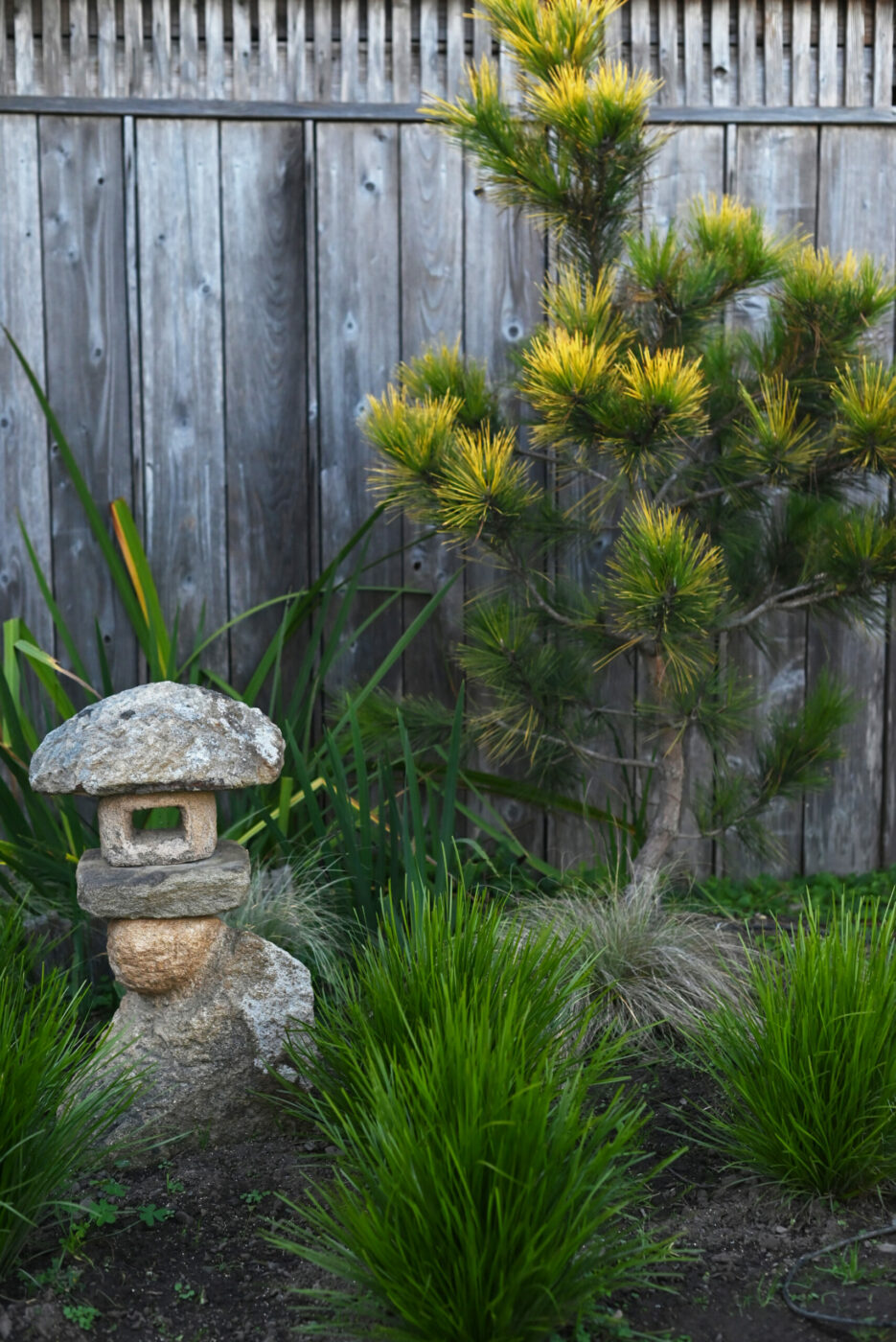 Ren Brown and his gallery and Japanese garden in Bodega Bay, Calif., Nov. 11, 2023. (Photo: Erik Castro/for Sonoma Magazine)