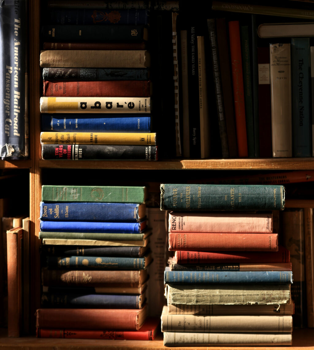 Morning light bathes cloth bound books at Treehorn Books in downtown Santa Rosa, Tuesday, Oct. 31, 2023. (Kent Porter / The Press Democrat)