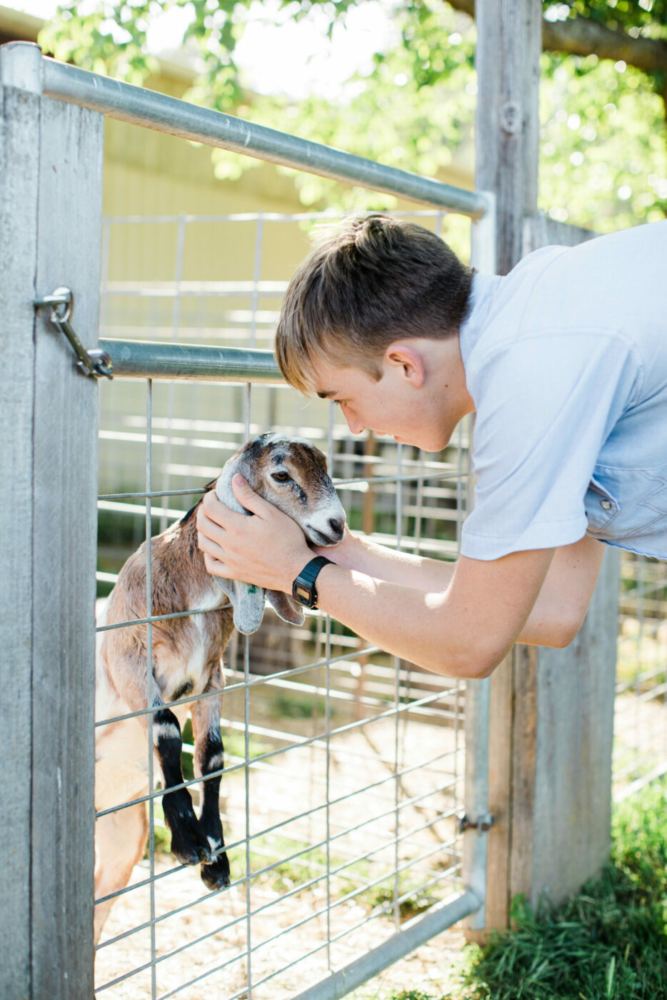 Redwood Hill Farm