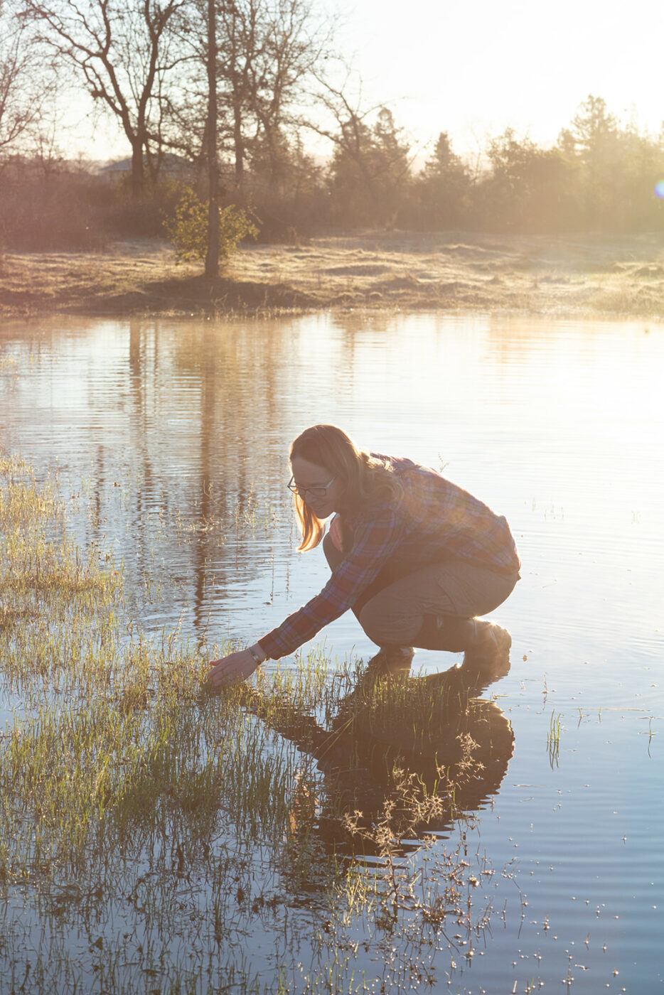 Ecologist Sarah Gordon studies tiny, endangered plants in seasonal vernal pools, like this one along the Laguna de Santa Rosa near Sebastopol. Vernal pools appear with winter rains and disappear by late spring. Gordon is hoping to better understand how changes in temperature affect plant health. (Eileen Roche/For Sonoma Magazine)